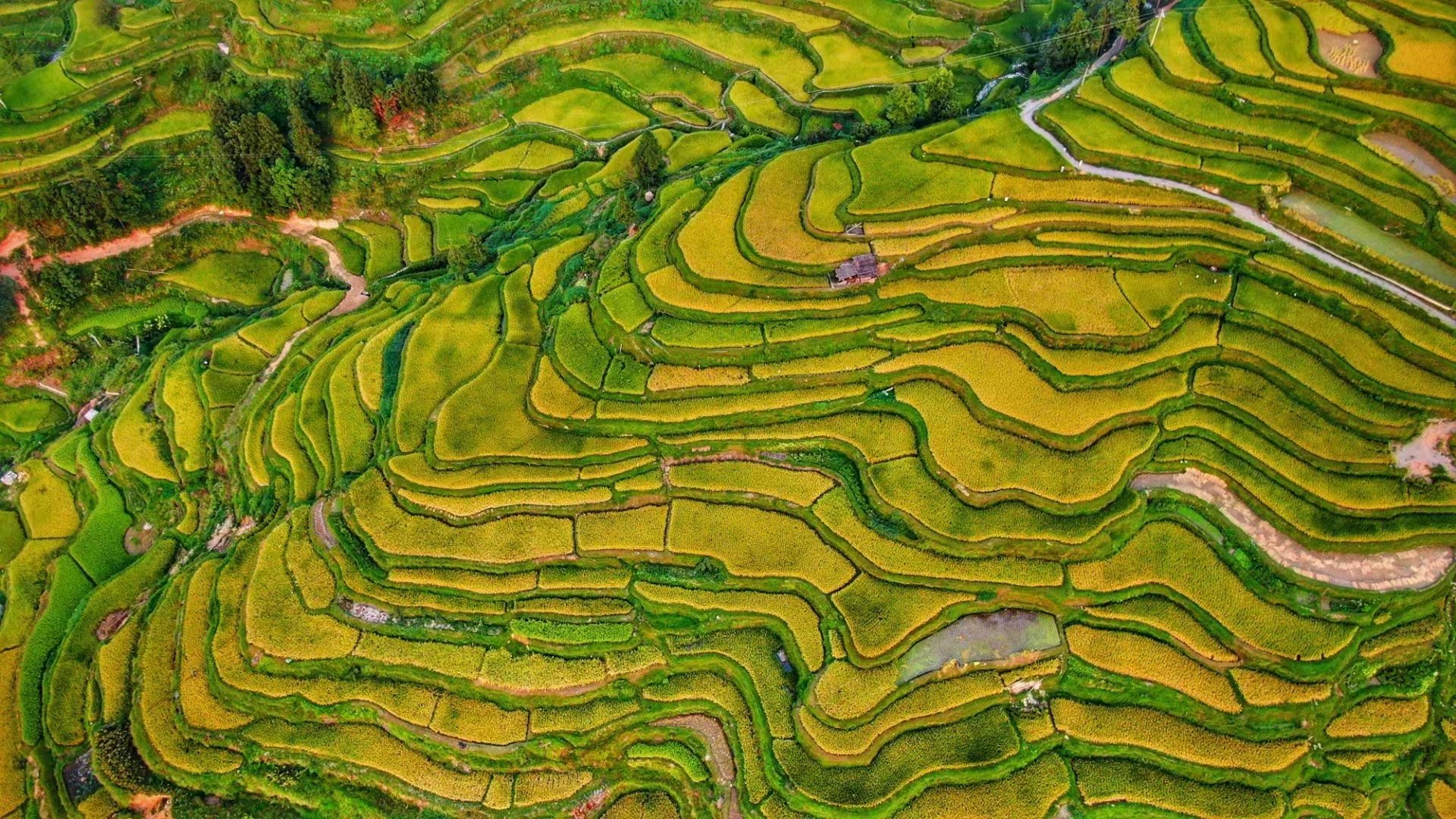 堂安梯田,广州旅游攻略-游侠客社区