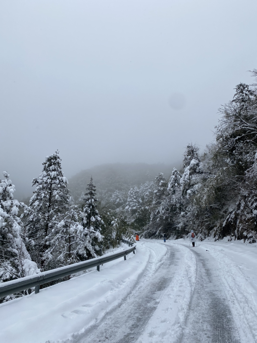 安吉龙王山雪景描写图片