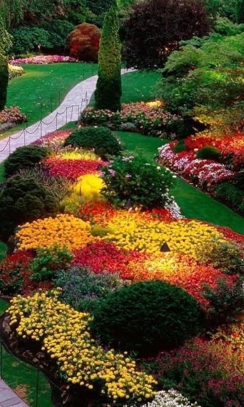加拿大布查特花園