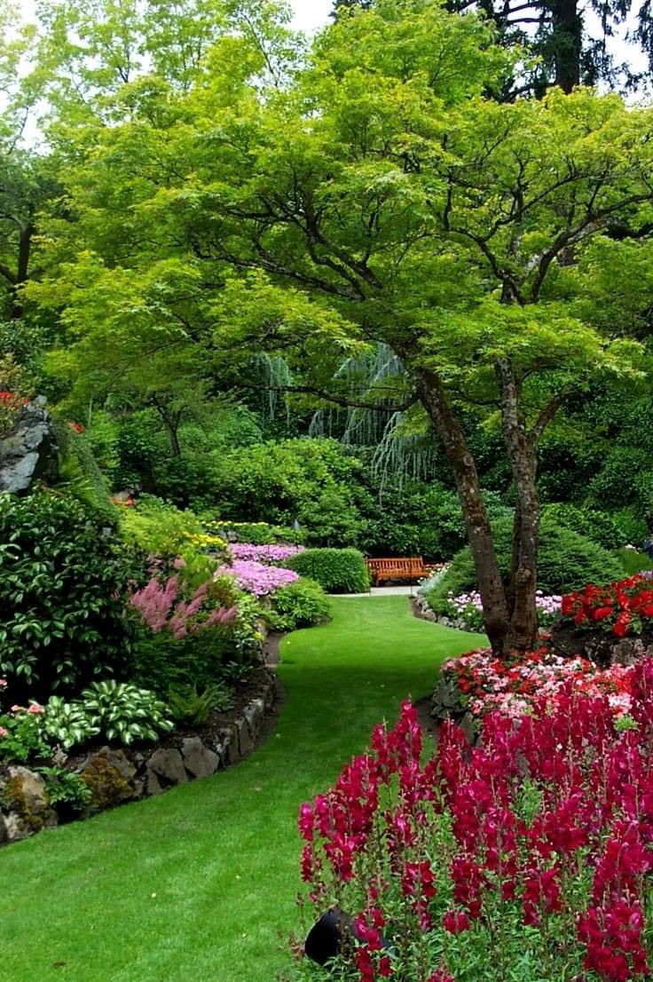 加拿大布查特花園