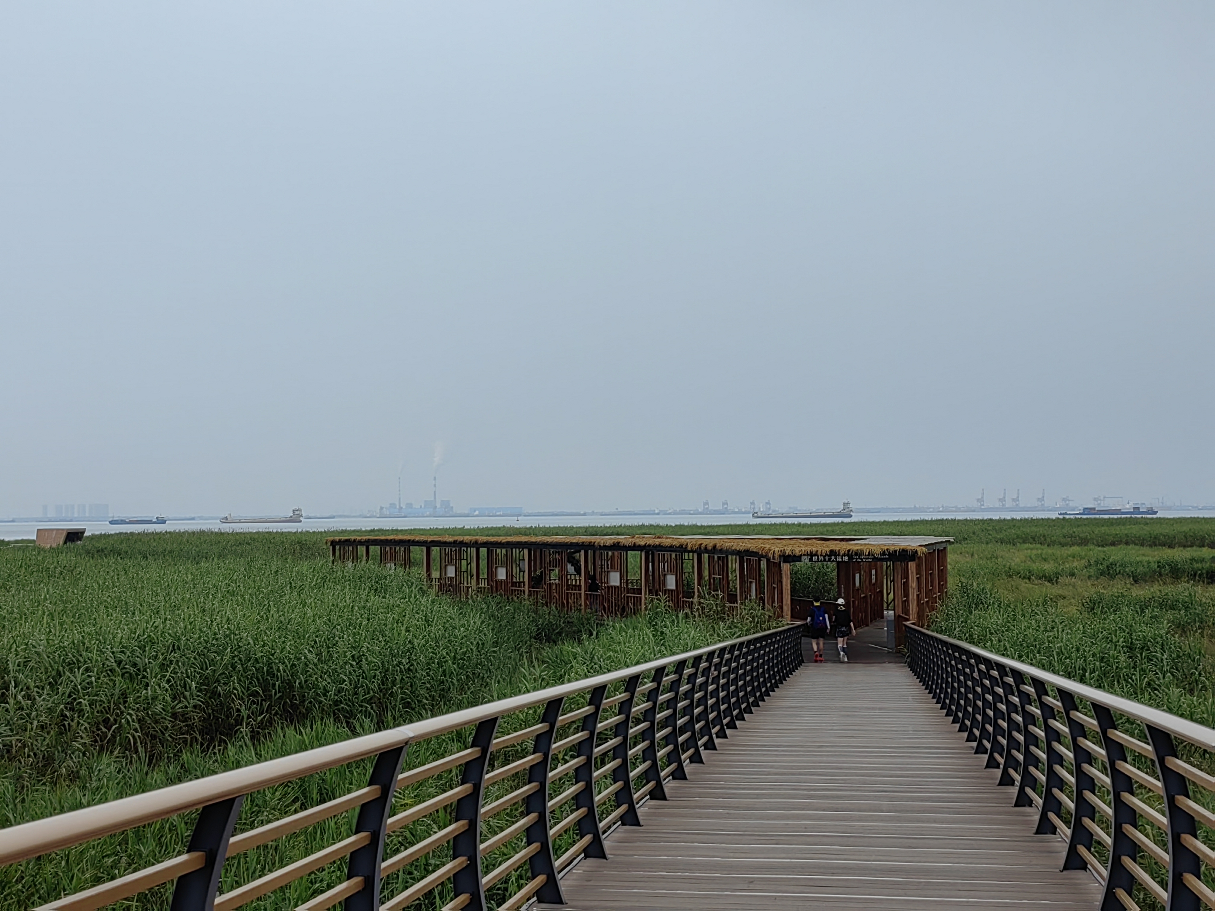 崇明轻骑|夏日炎炎,来西沙湿地找点清凉吧,崇明岛旅游攻略-游侠客社区