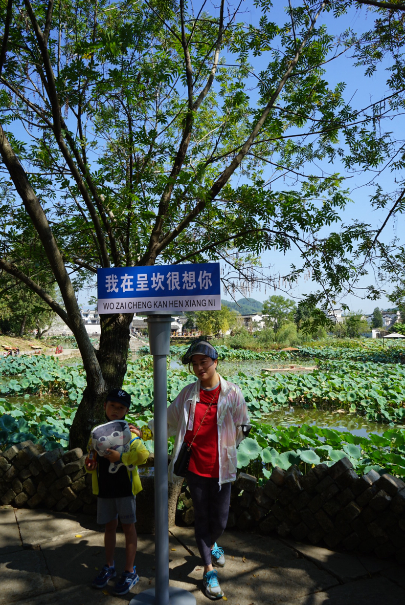 玩好古徽州·探寻徽派文化之旅