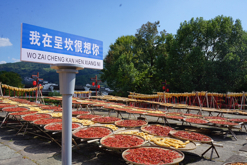 玩好古徽州·探寻徽派文化之旅