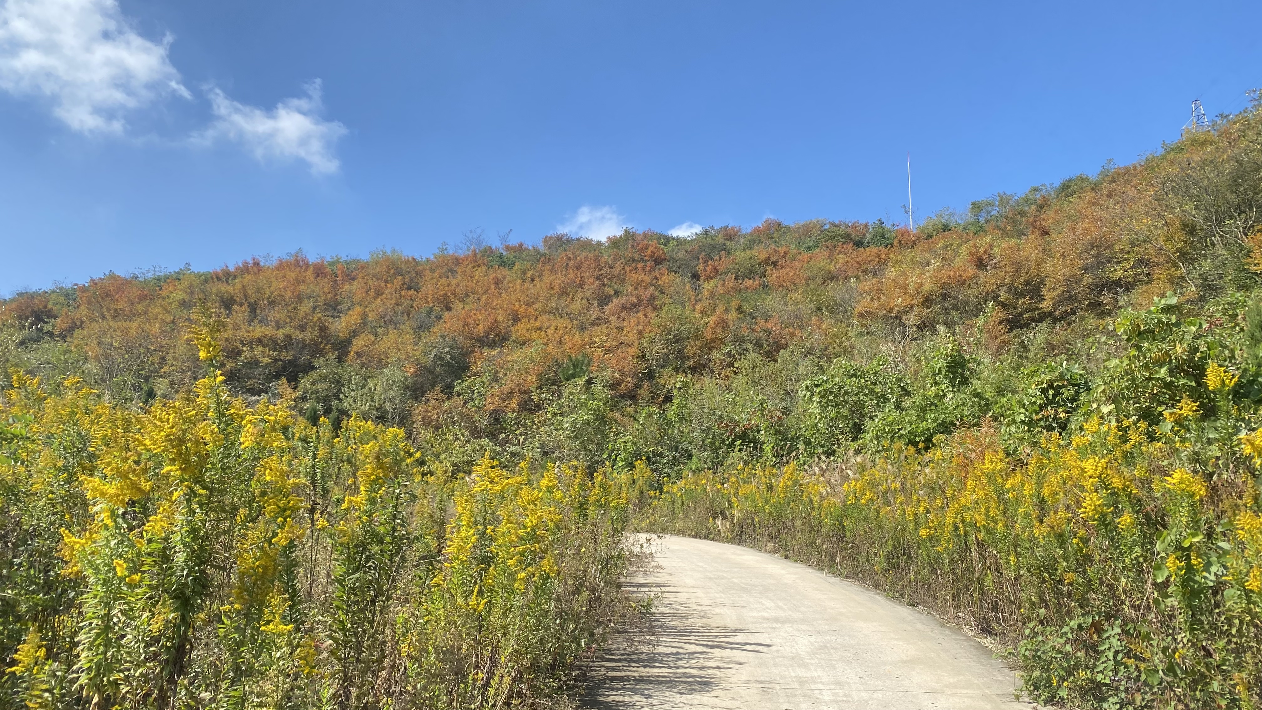 首发61碧岩古道,长兴旅游攻略-游侠客社区