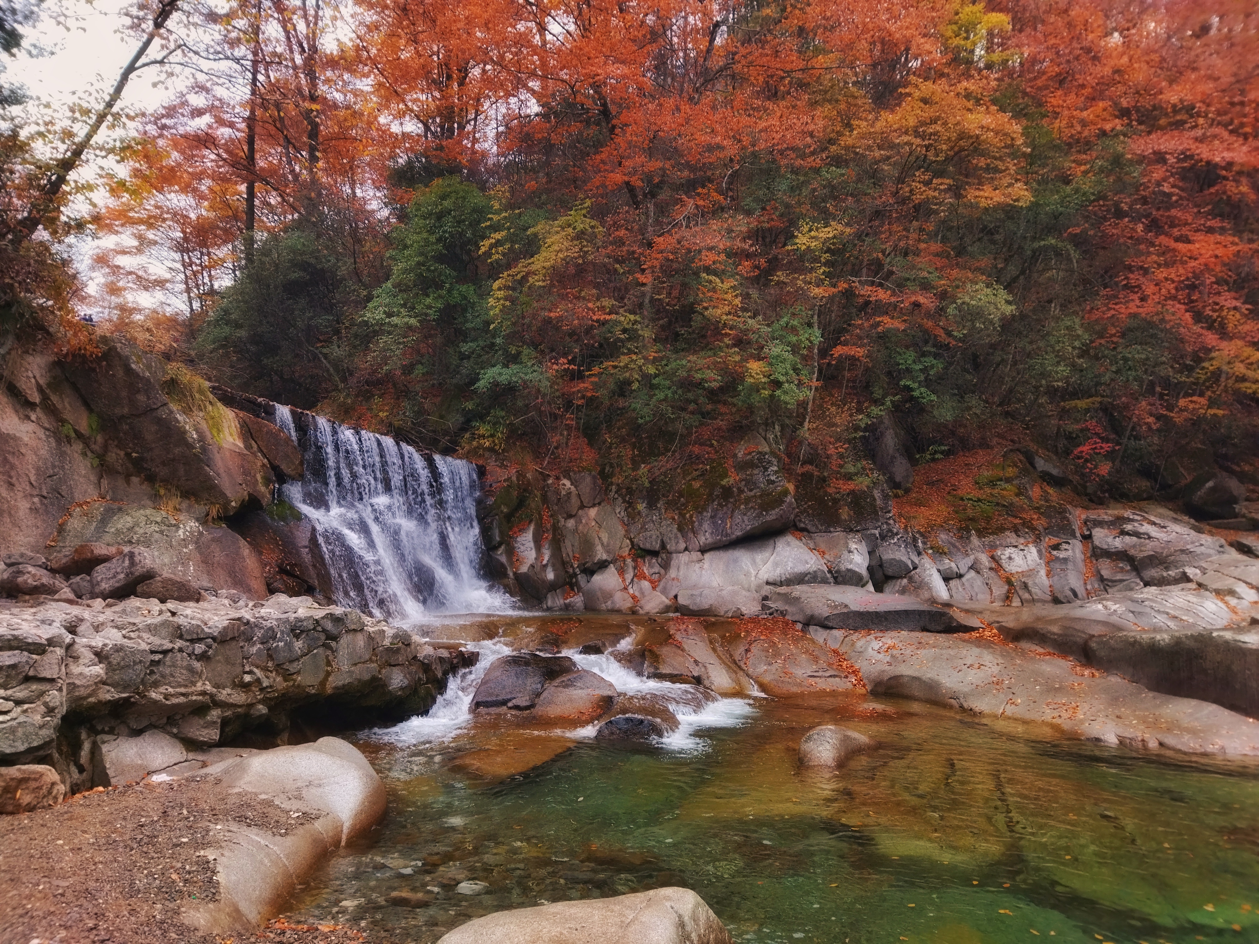 十月光霧山,秋色正濃時.,閬中古城旅遊攻略-遊俠客社區