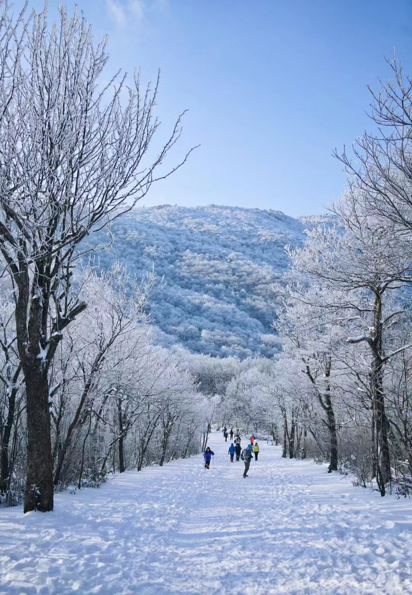 安吉龙王山雪景图片