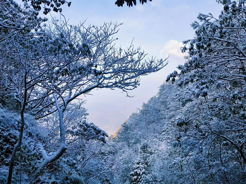 安吉龙王山雪景图片