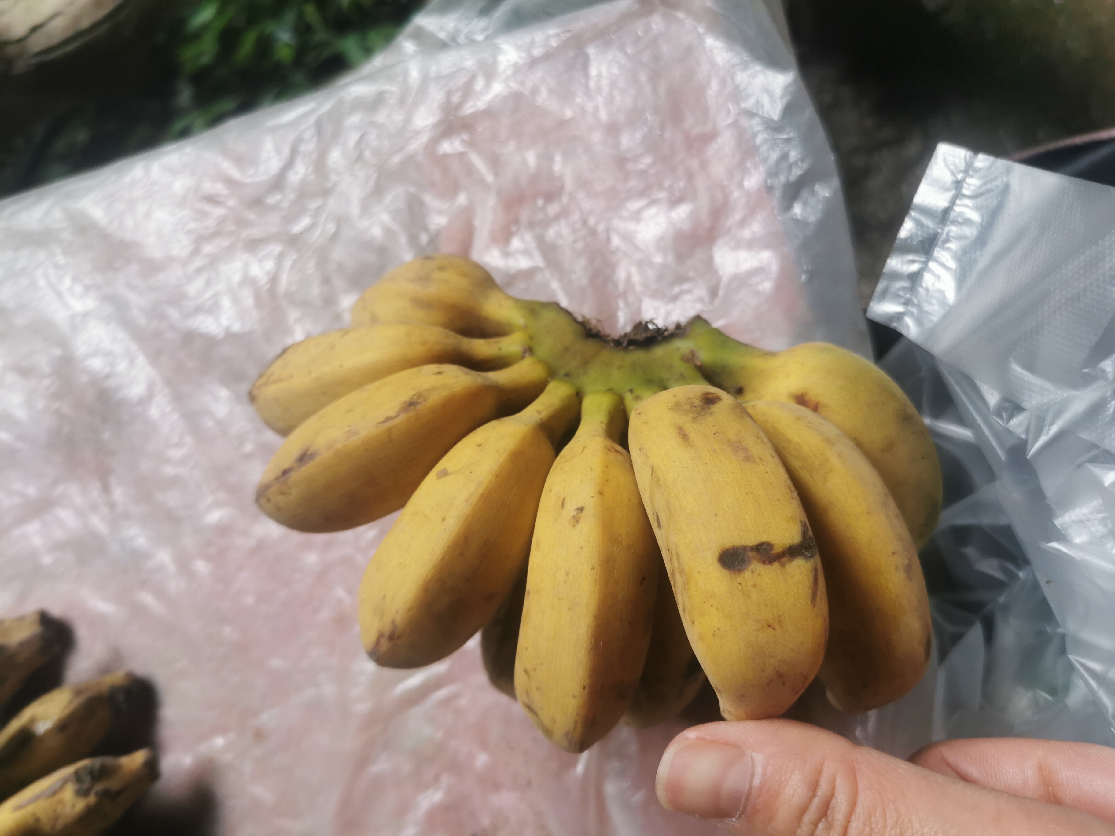 通灵大峡谷渠洋湖
