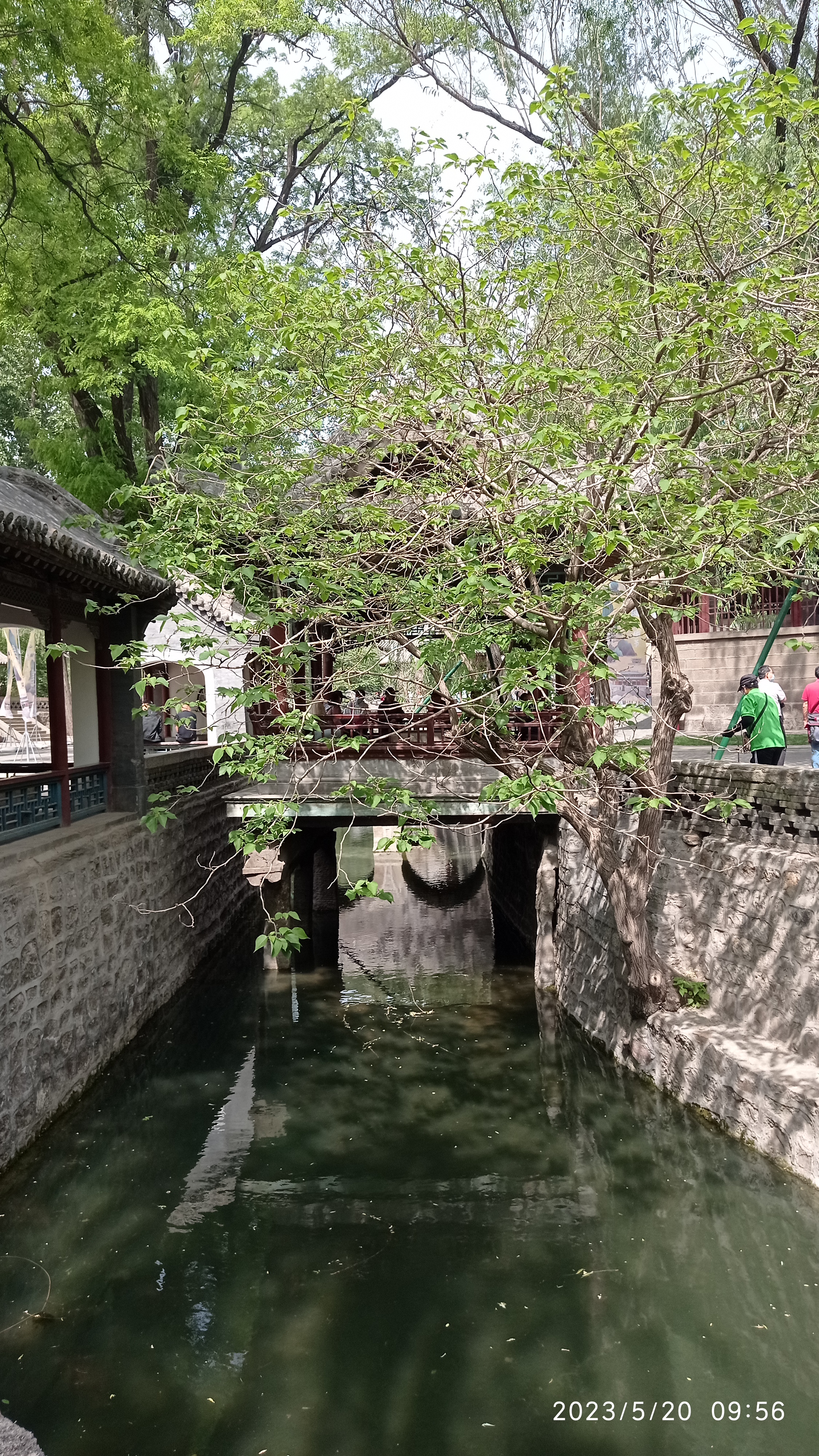 五台山徒步大会
