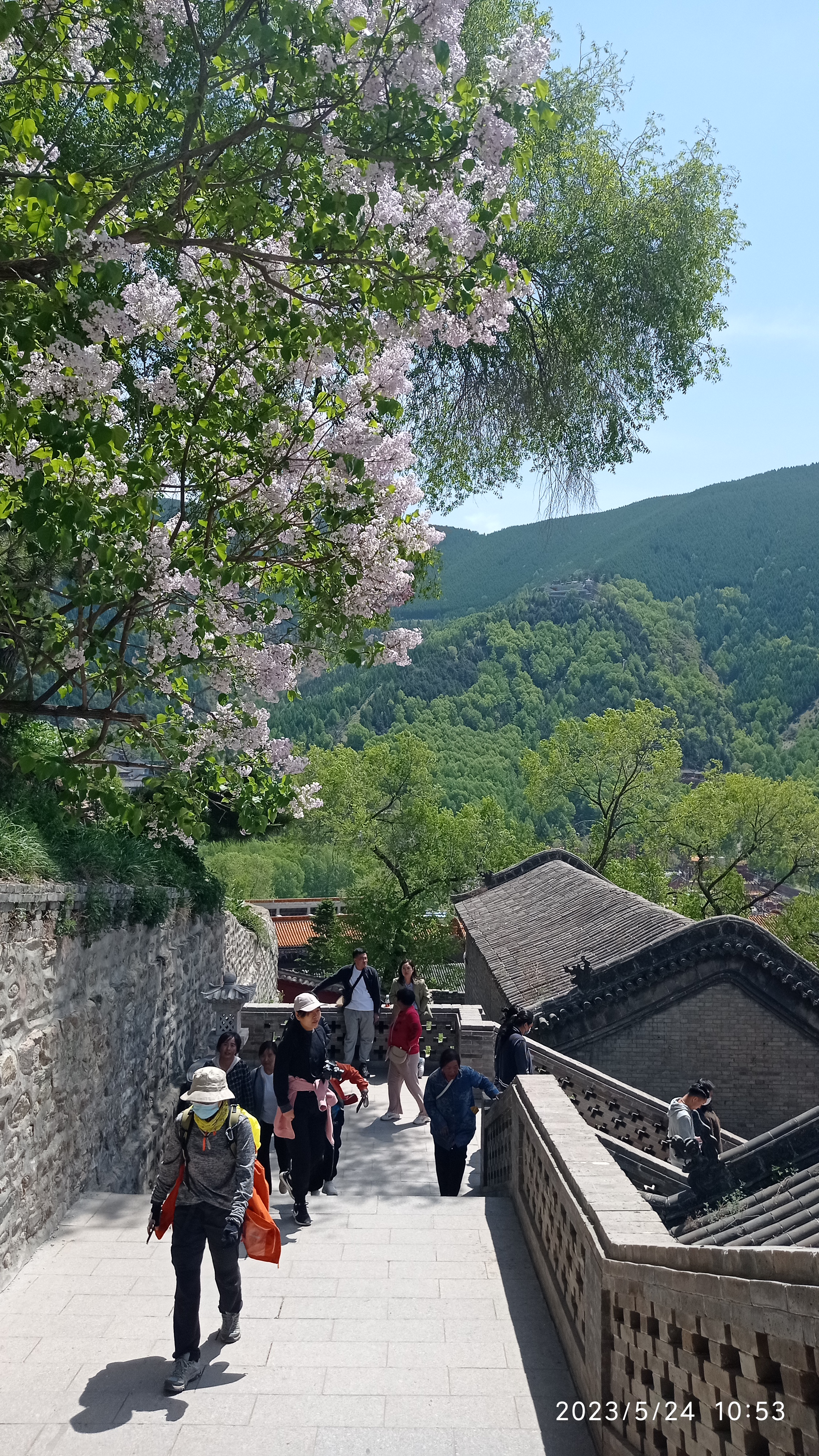 五台山徒步大会