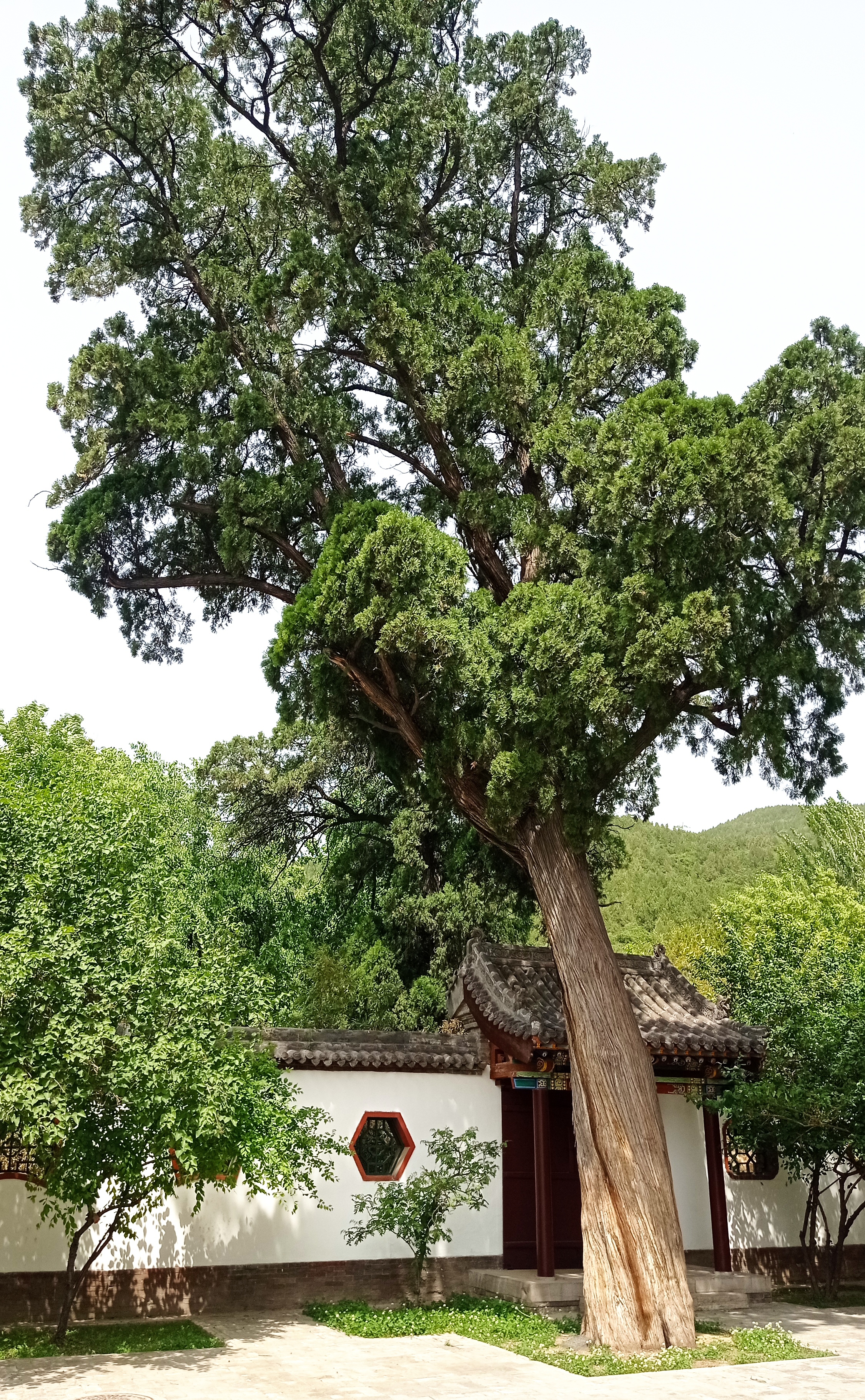 五台山徒步大会