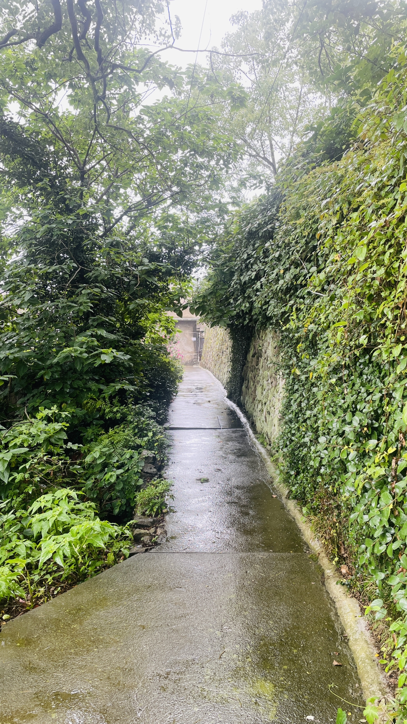 避雨避世羡猫生-2023061718避世岱山岛