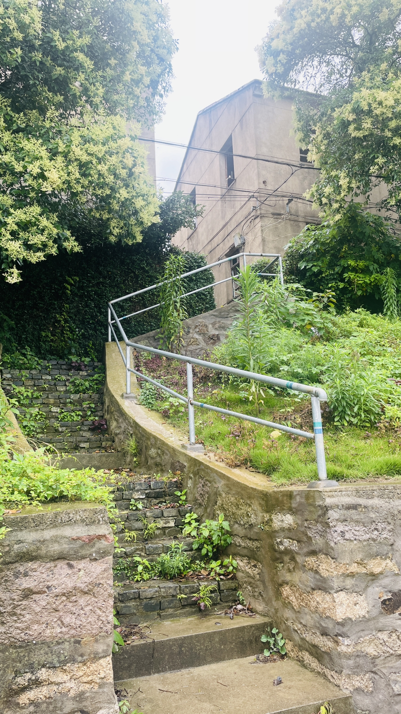避雨避世羡猫生-2023061718避世岱山岛