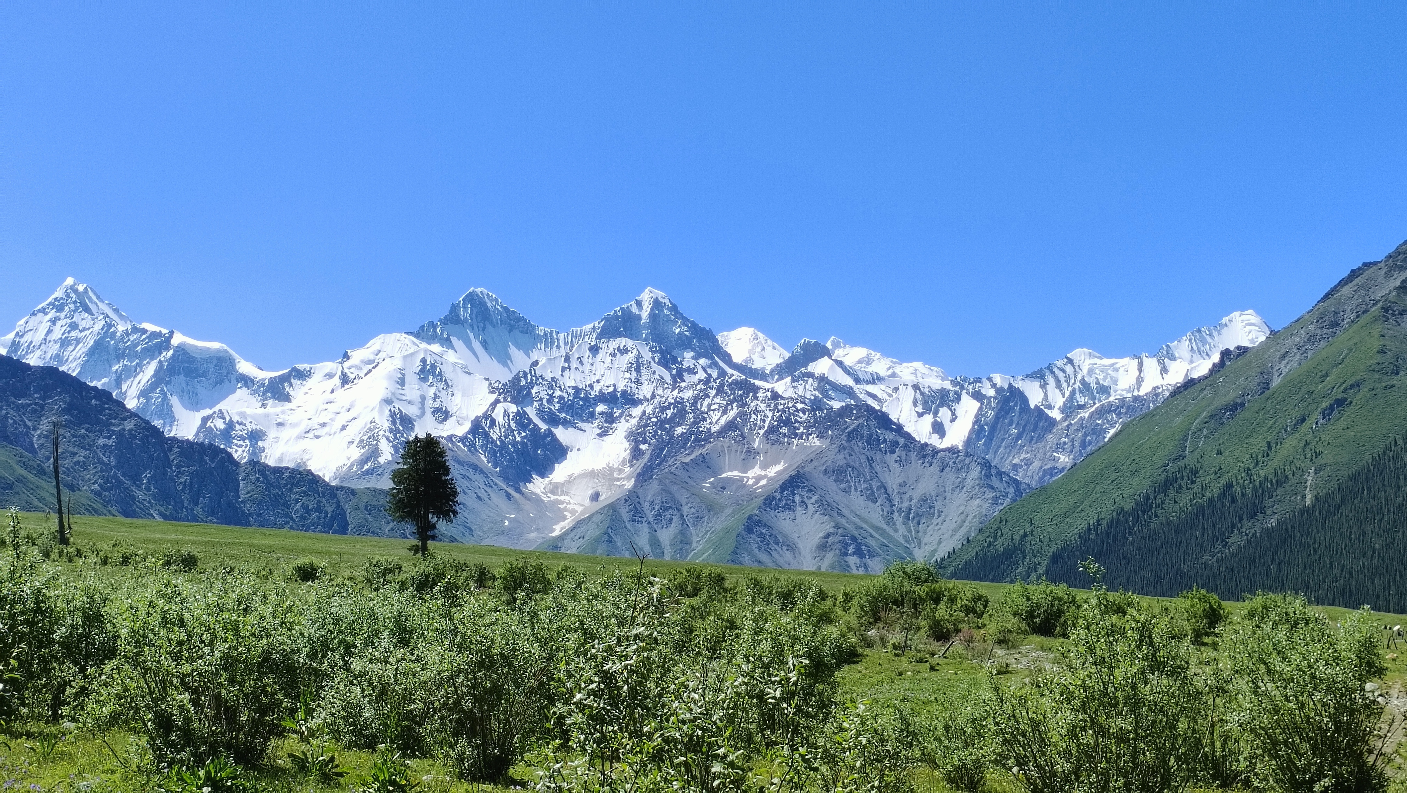环天山+南疆帕米尔
