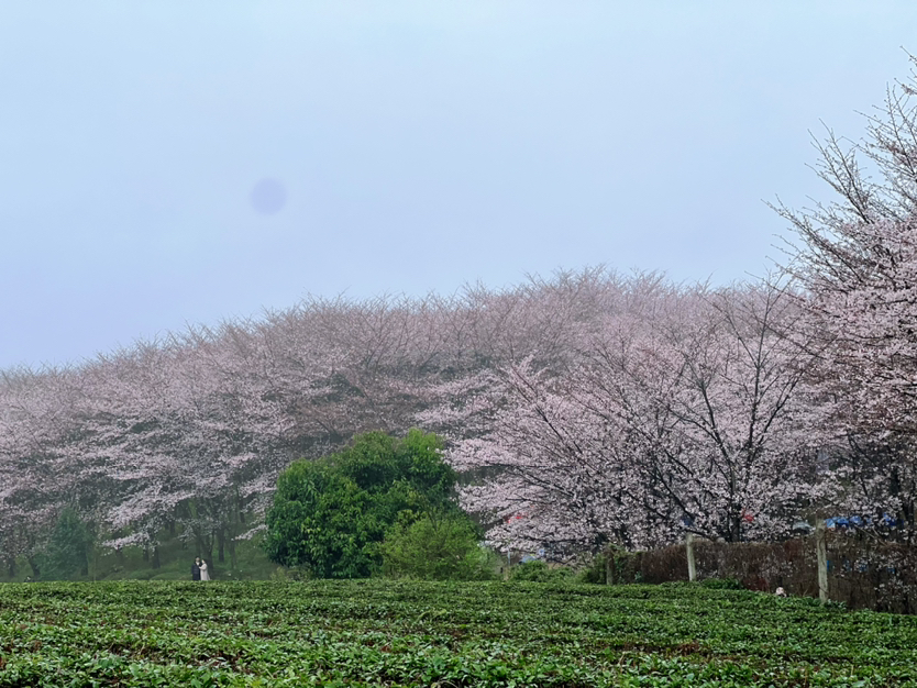 贵州山水