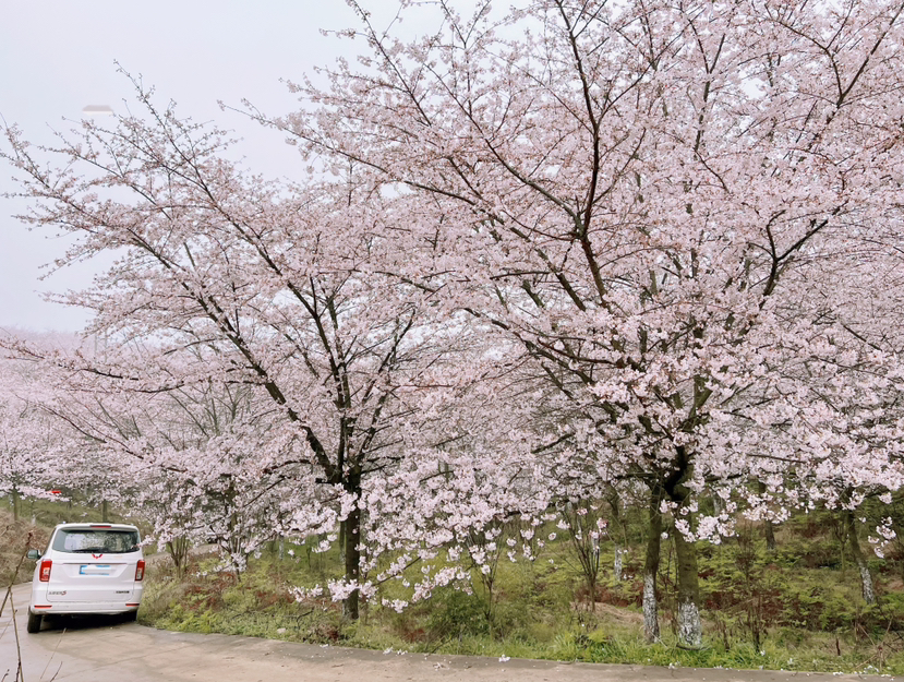 贵州山水