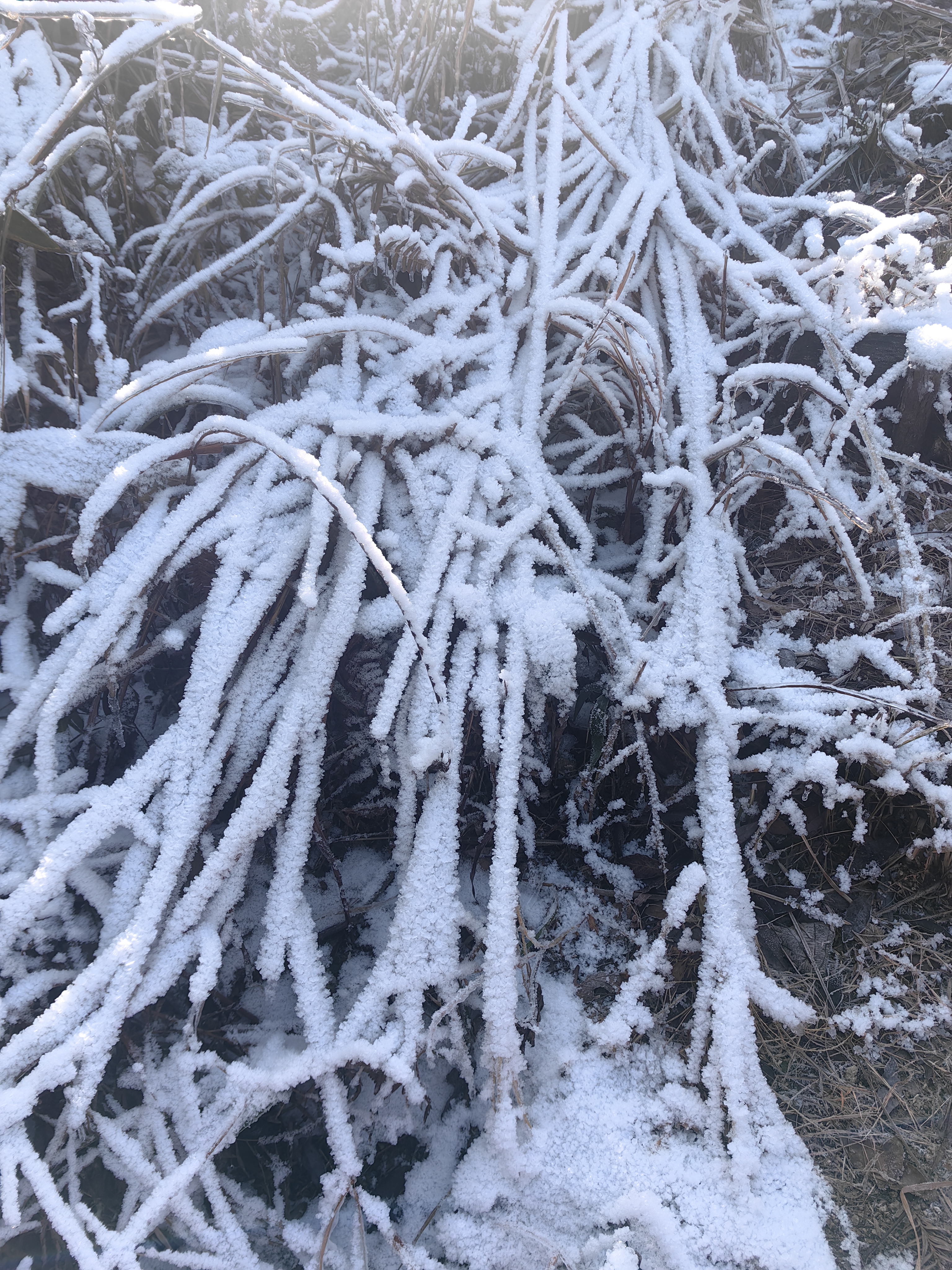 云石连穿雪景