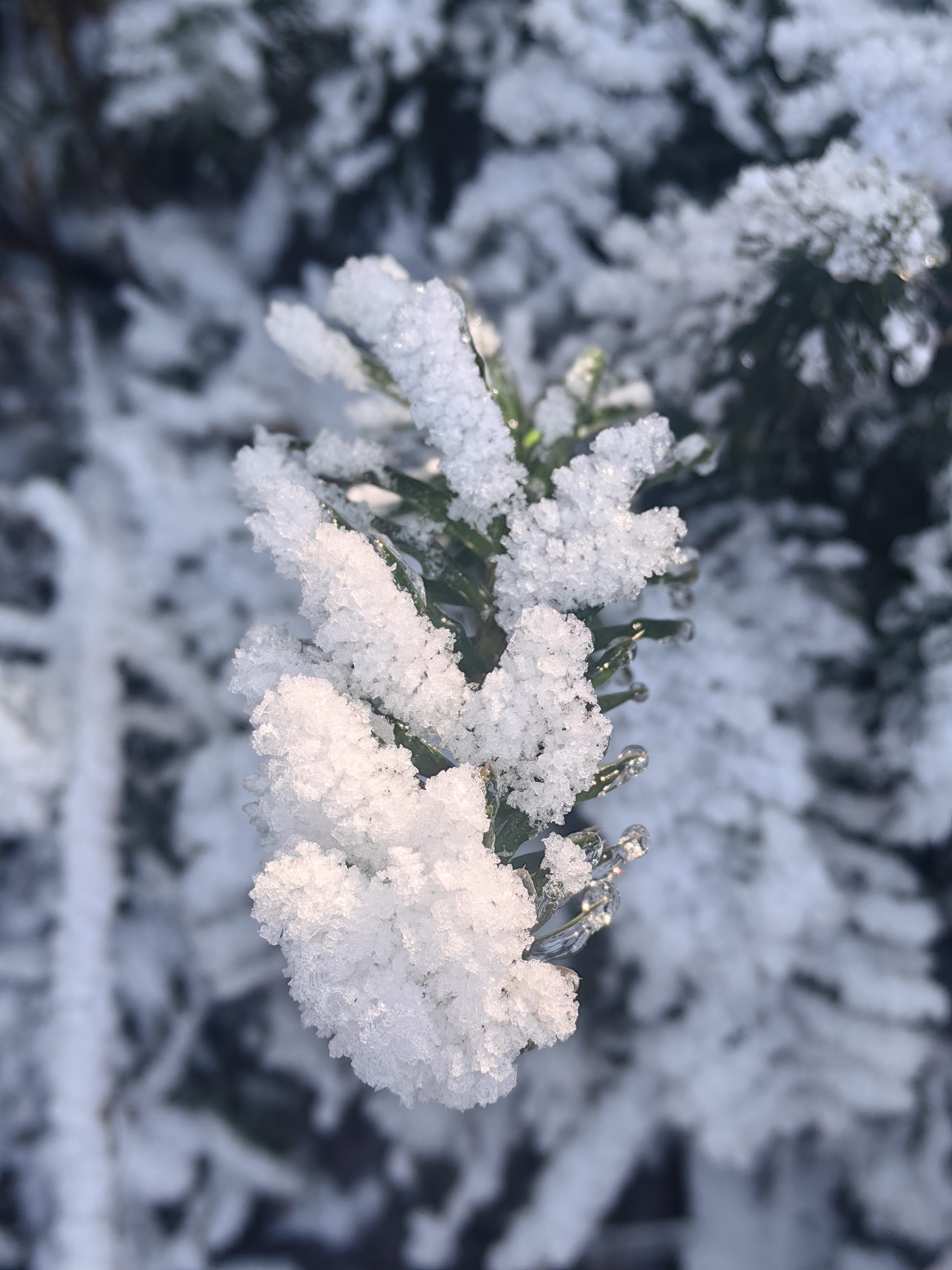 云石连穿雪景