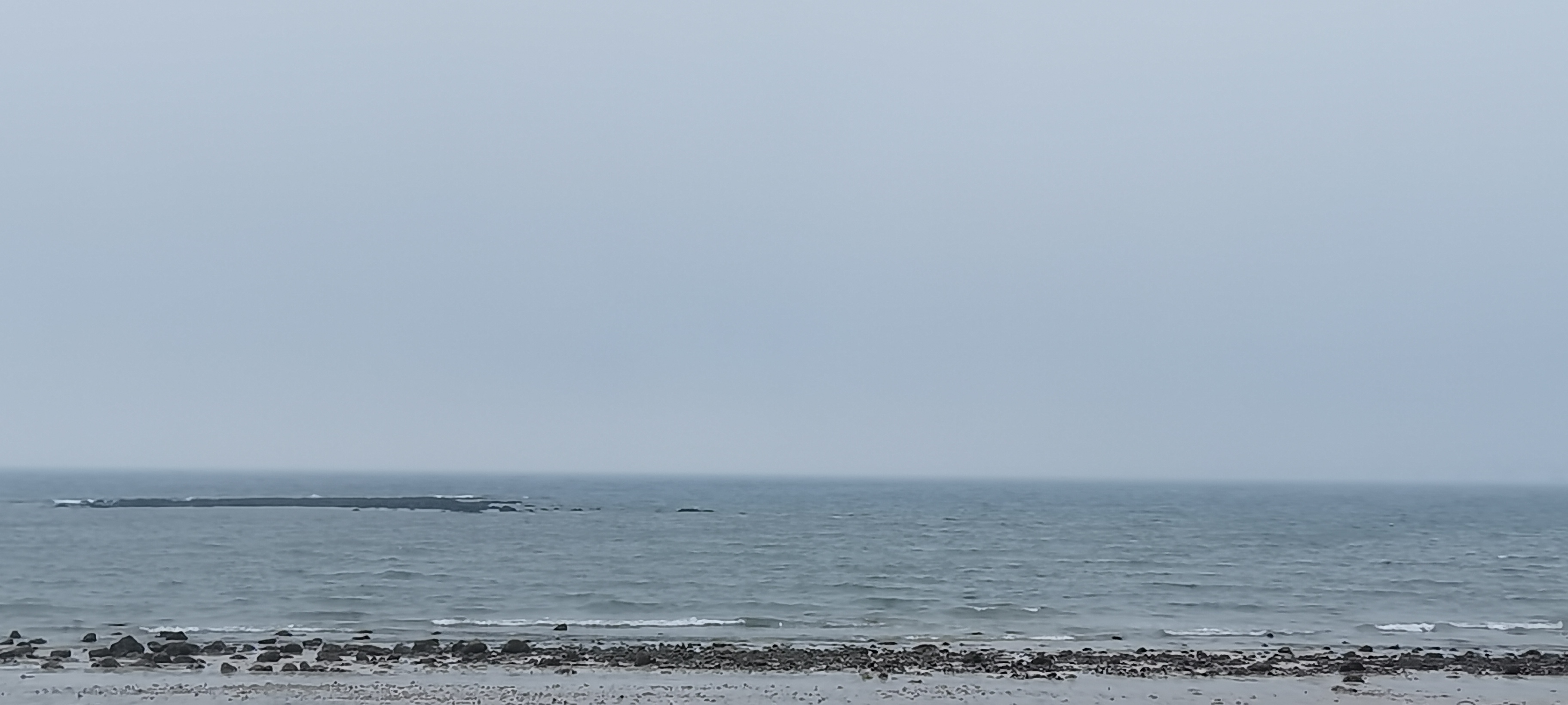涠洲岛观鲸