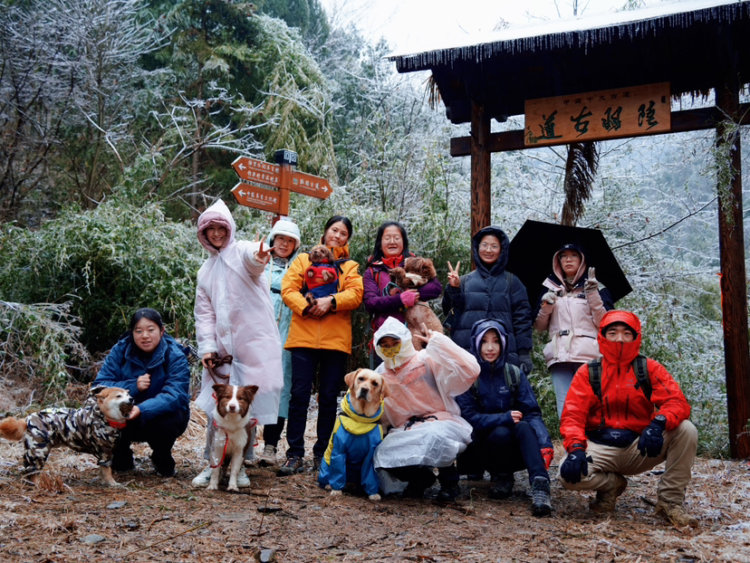 上礼拜一还沉浸在年假里无可自拔,偶然瞄到群里阿力在问"周六 汪汪go
