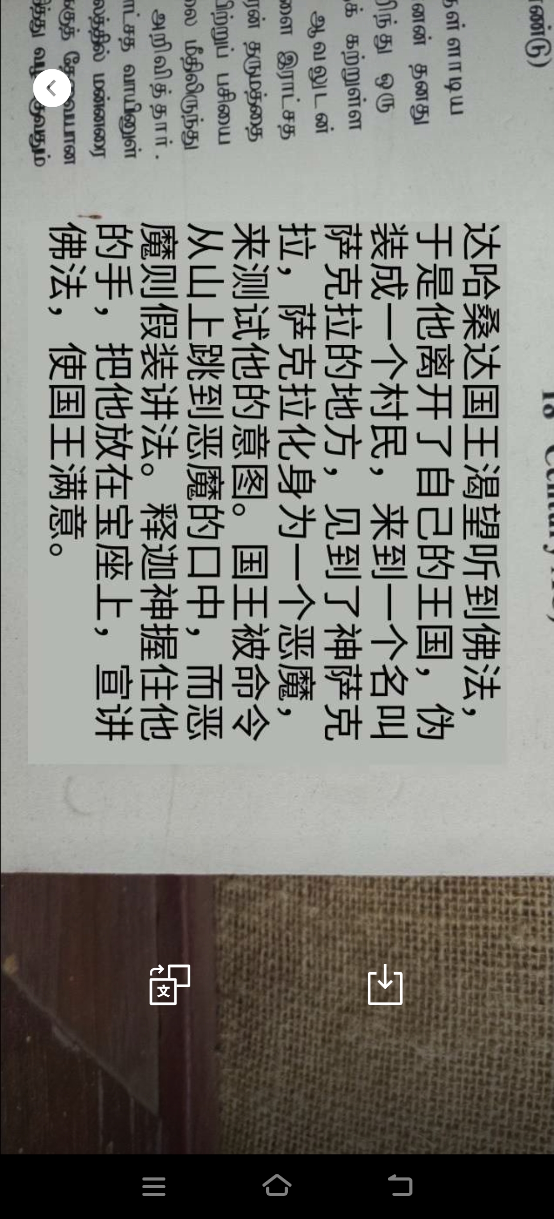 斯里兰卡的2日自由行~被这个世界爱着(我的第四次出国行)(20240303-04)