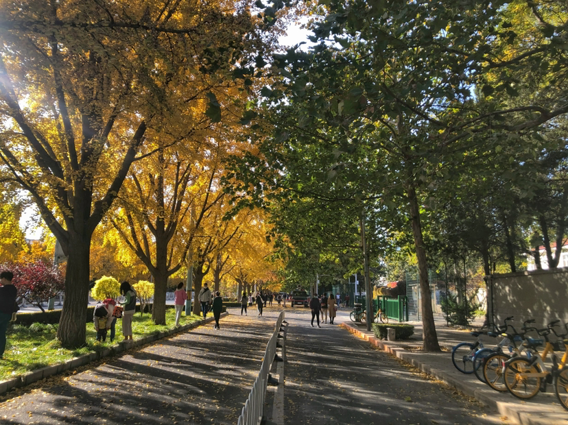 #游侠报道# 新晋实习领队前来报道~