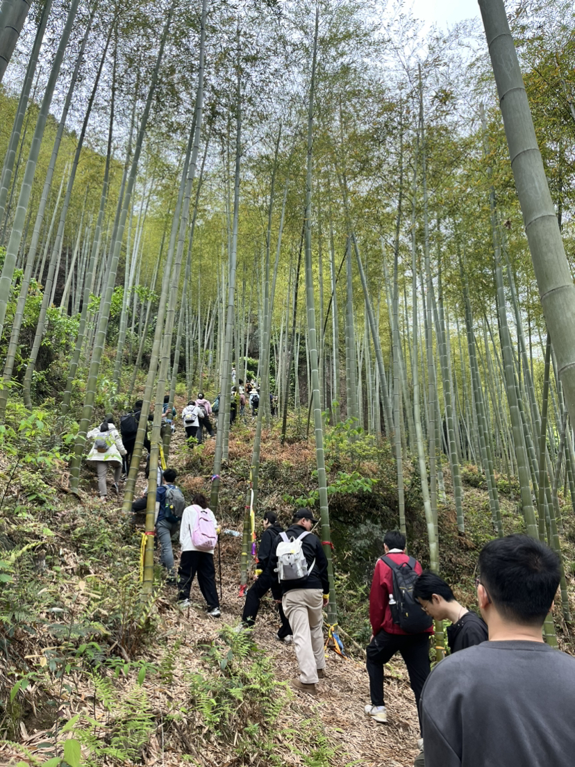 葛岭旅游景点有哪些图片