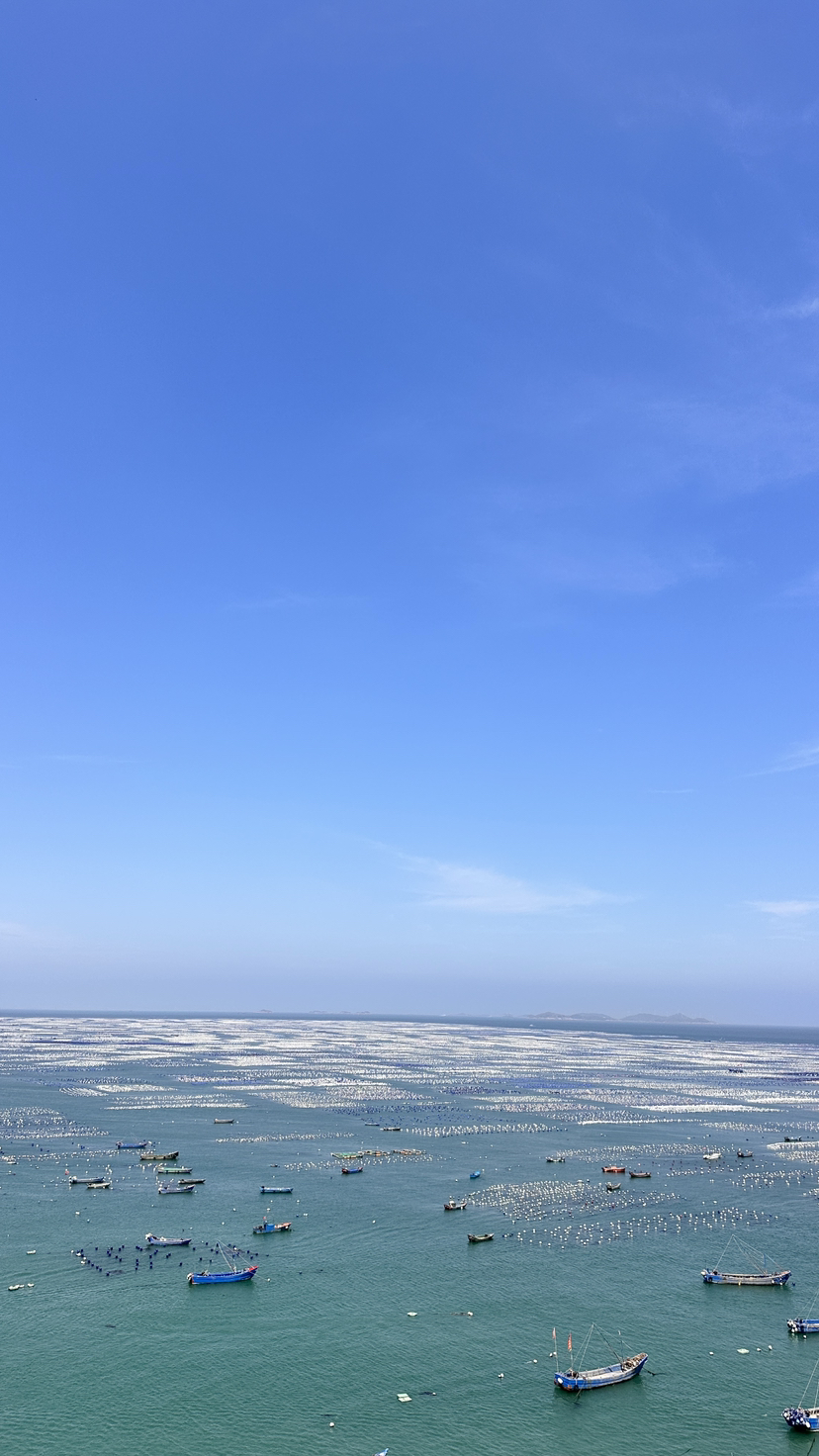 枸杞岛~一个五一假期不需要看人头的小众且美的地方