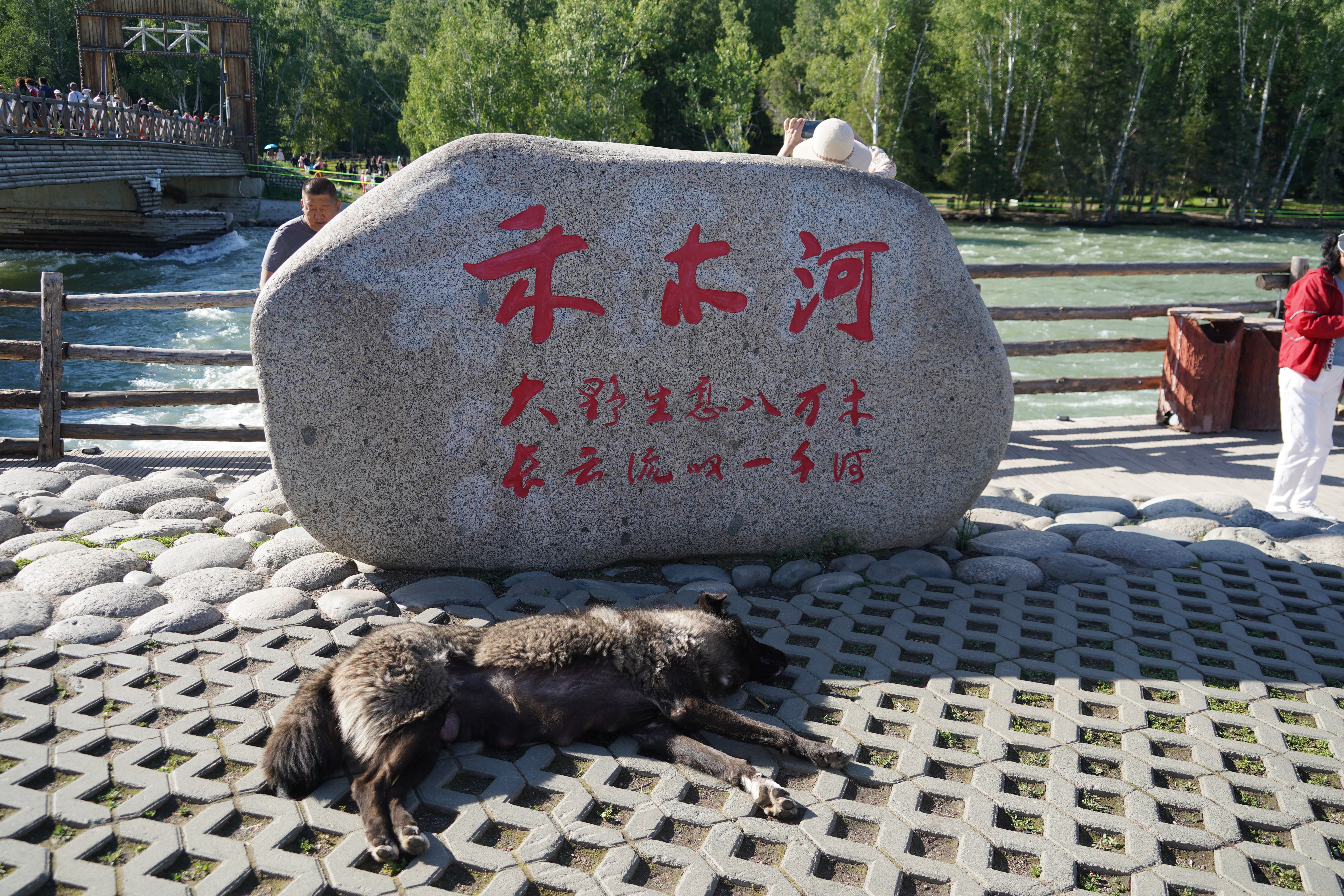 我太爱新疆了