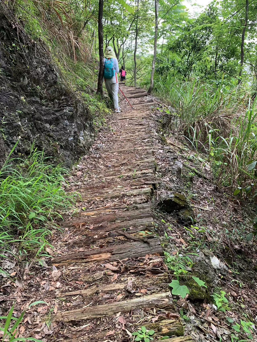 春风又绿江南岸