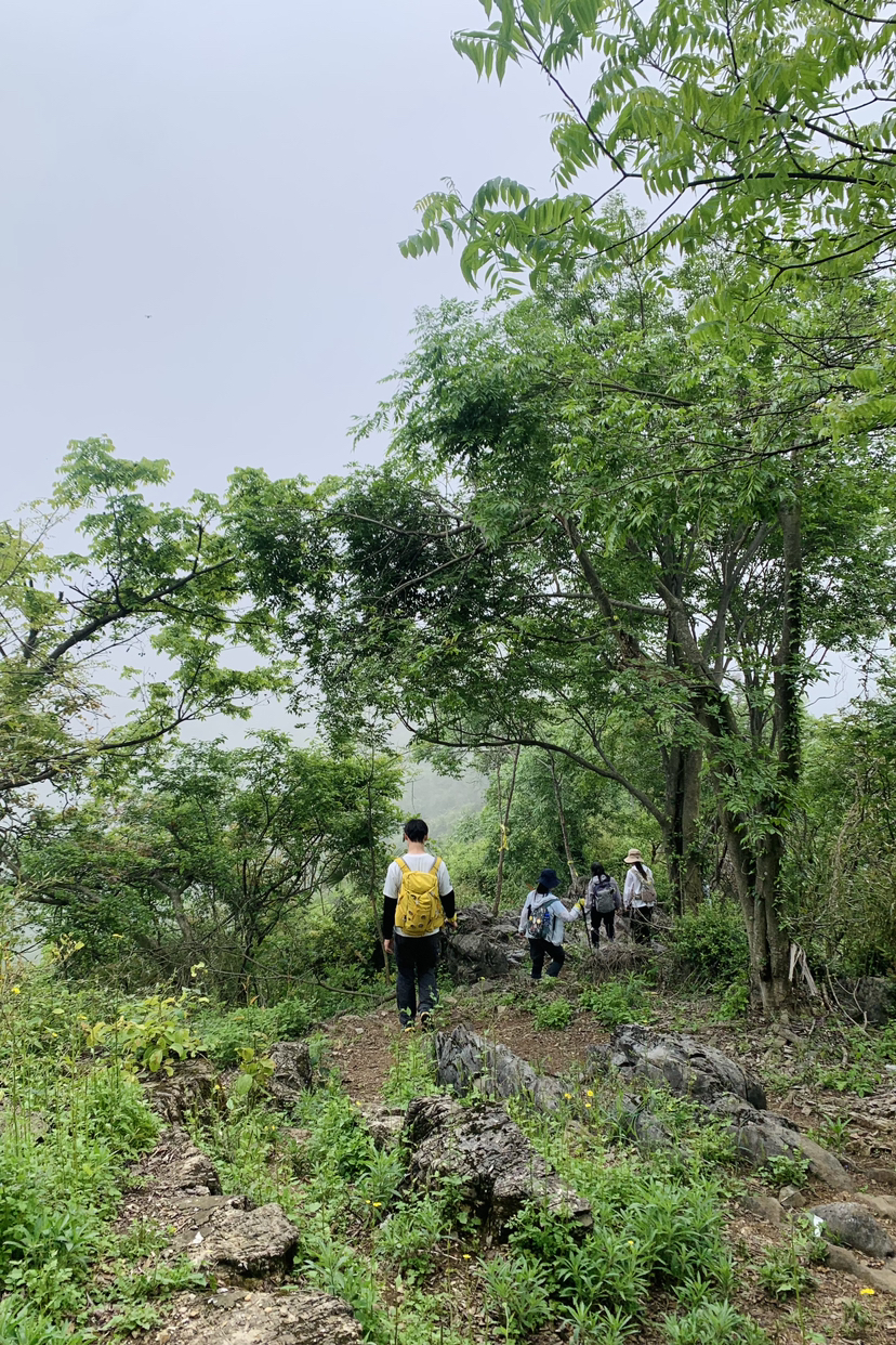 春风又绿江南岸
