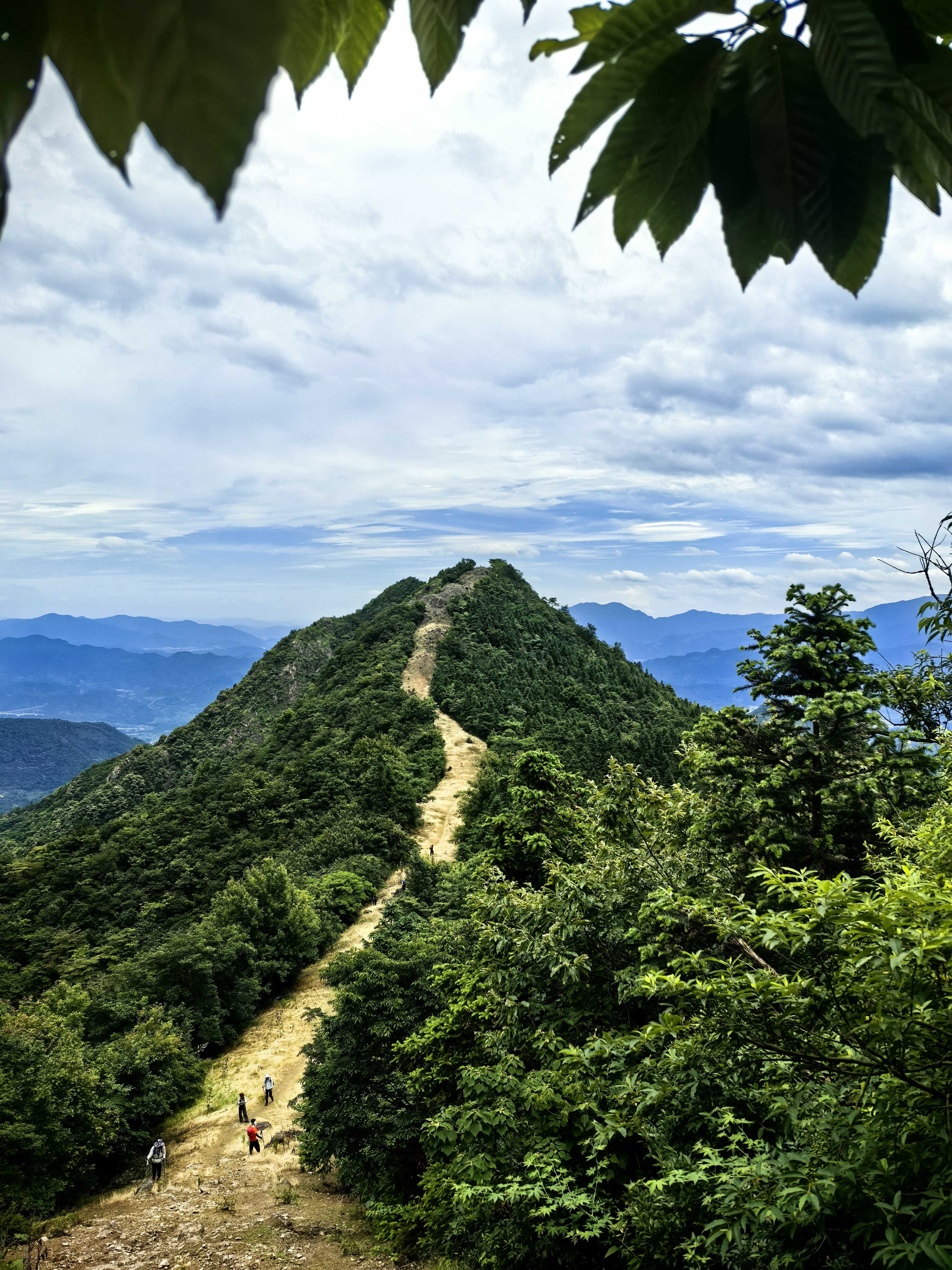 大雷山,大雷山旅游攻略-游侠客社区