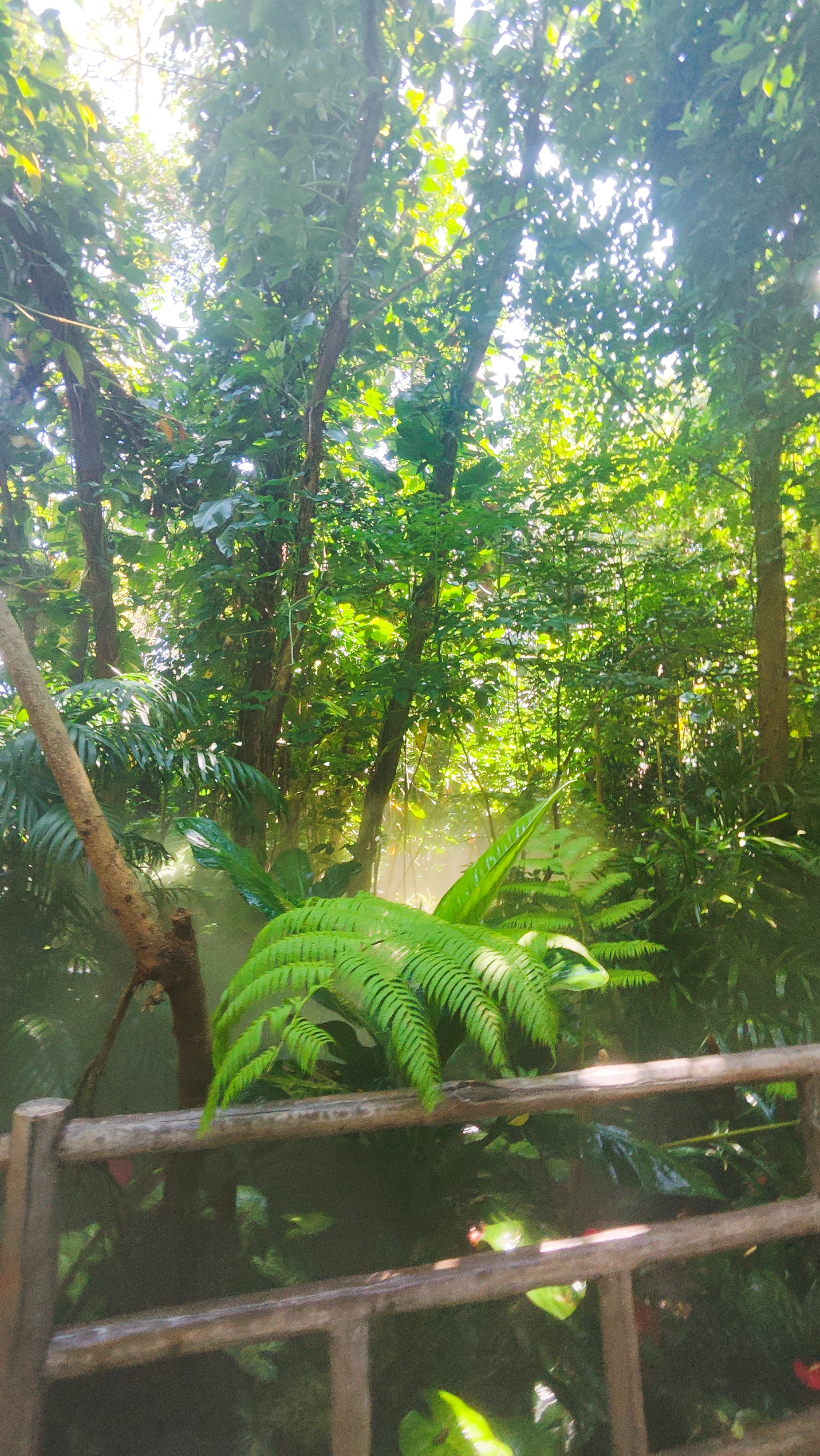 厦门治愈之旅