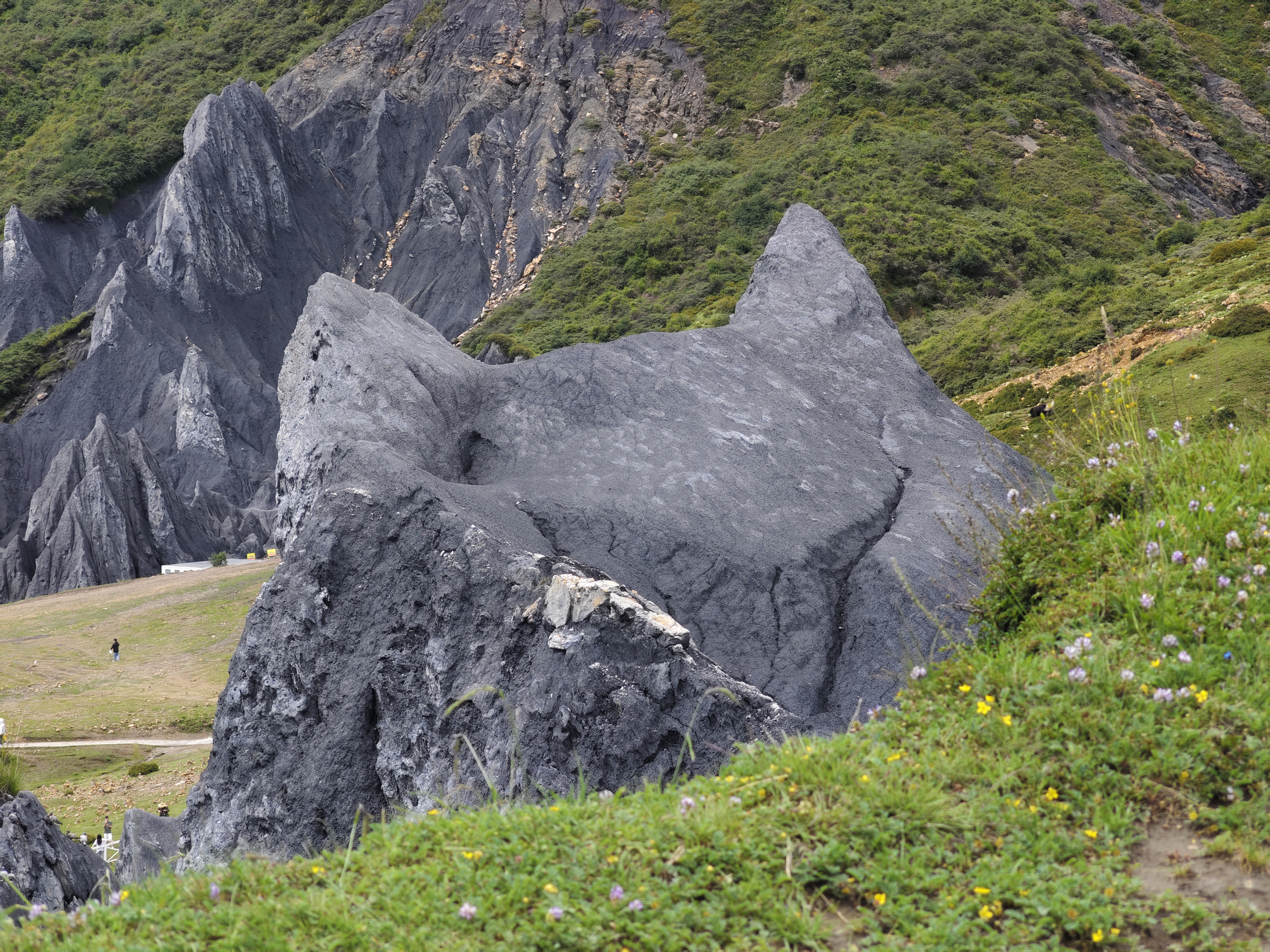 这一次与众不同的川西全景