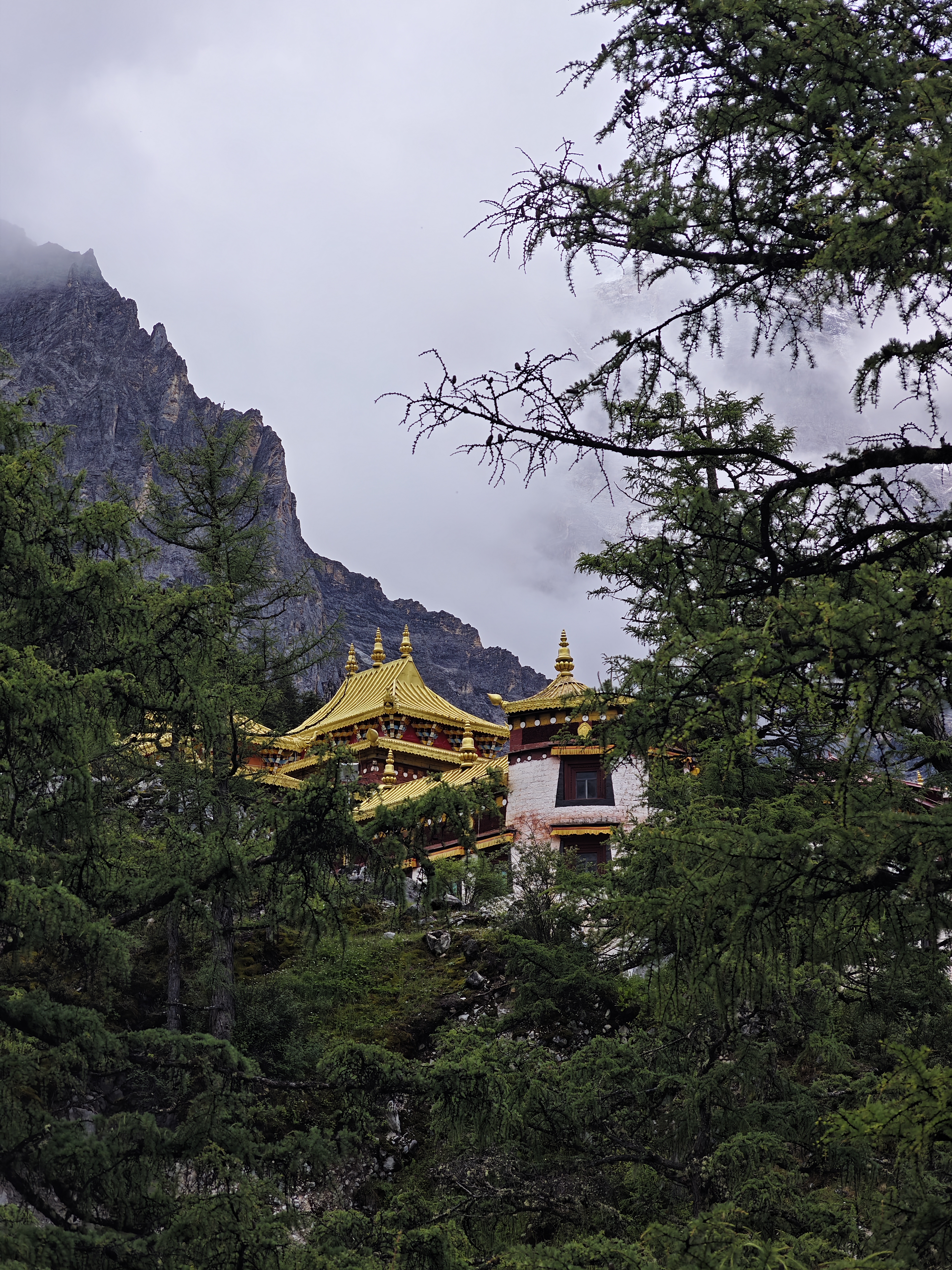 这一次与众不同的川西全景
