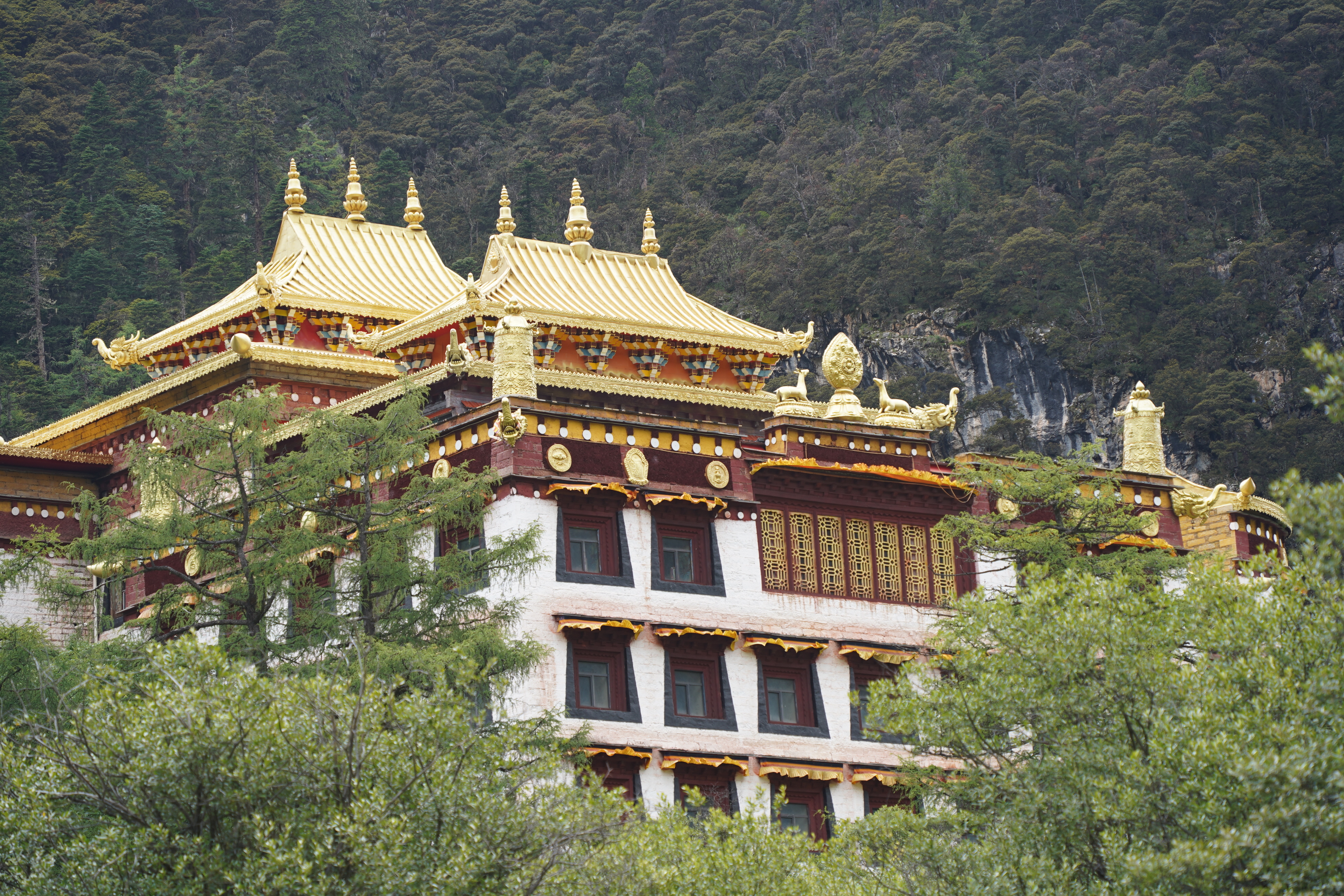 这一次与众不同的川西全景