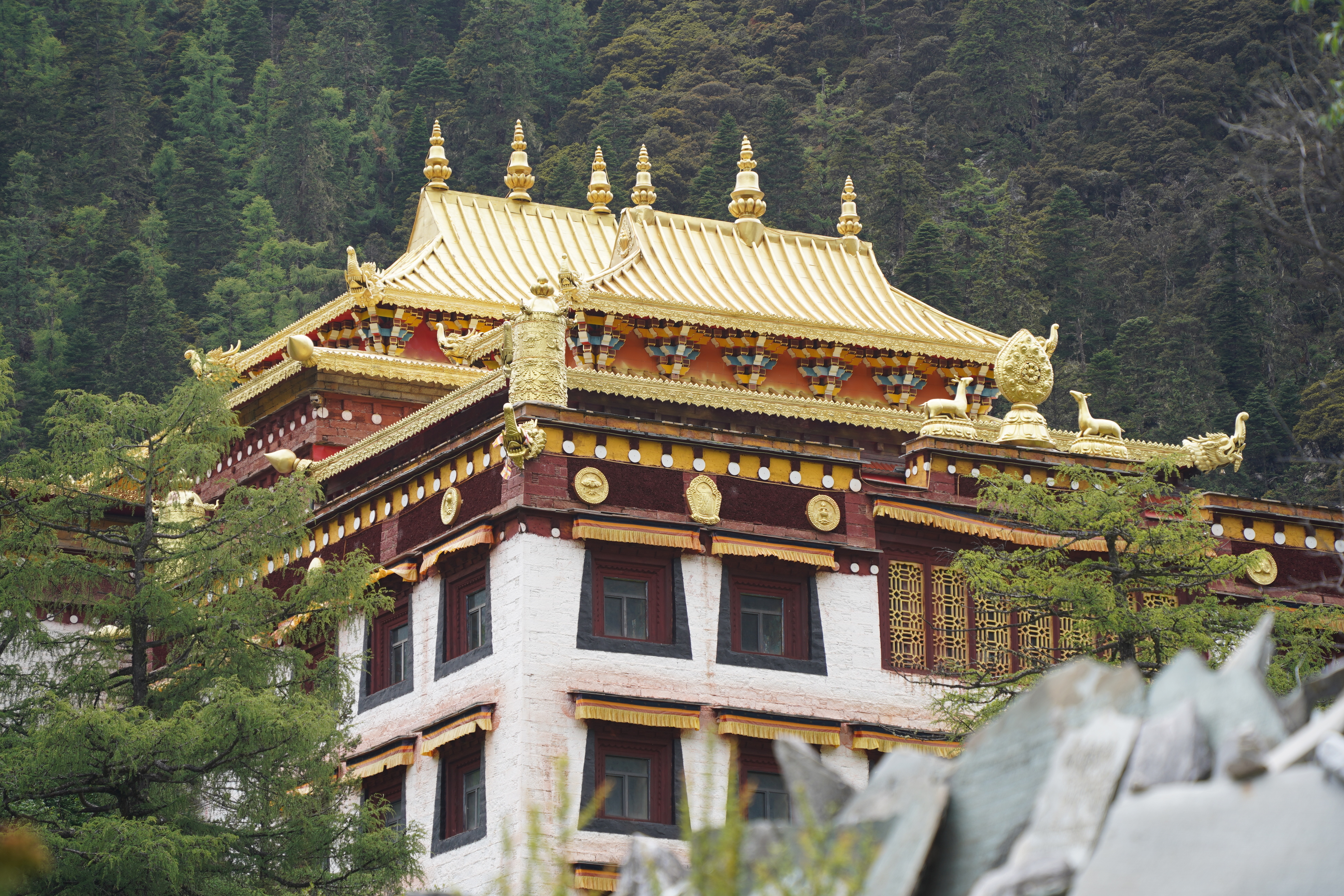 这一次与众不同的川西全景