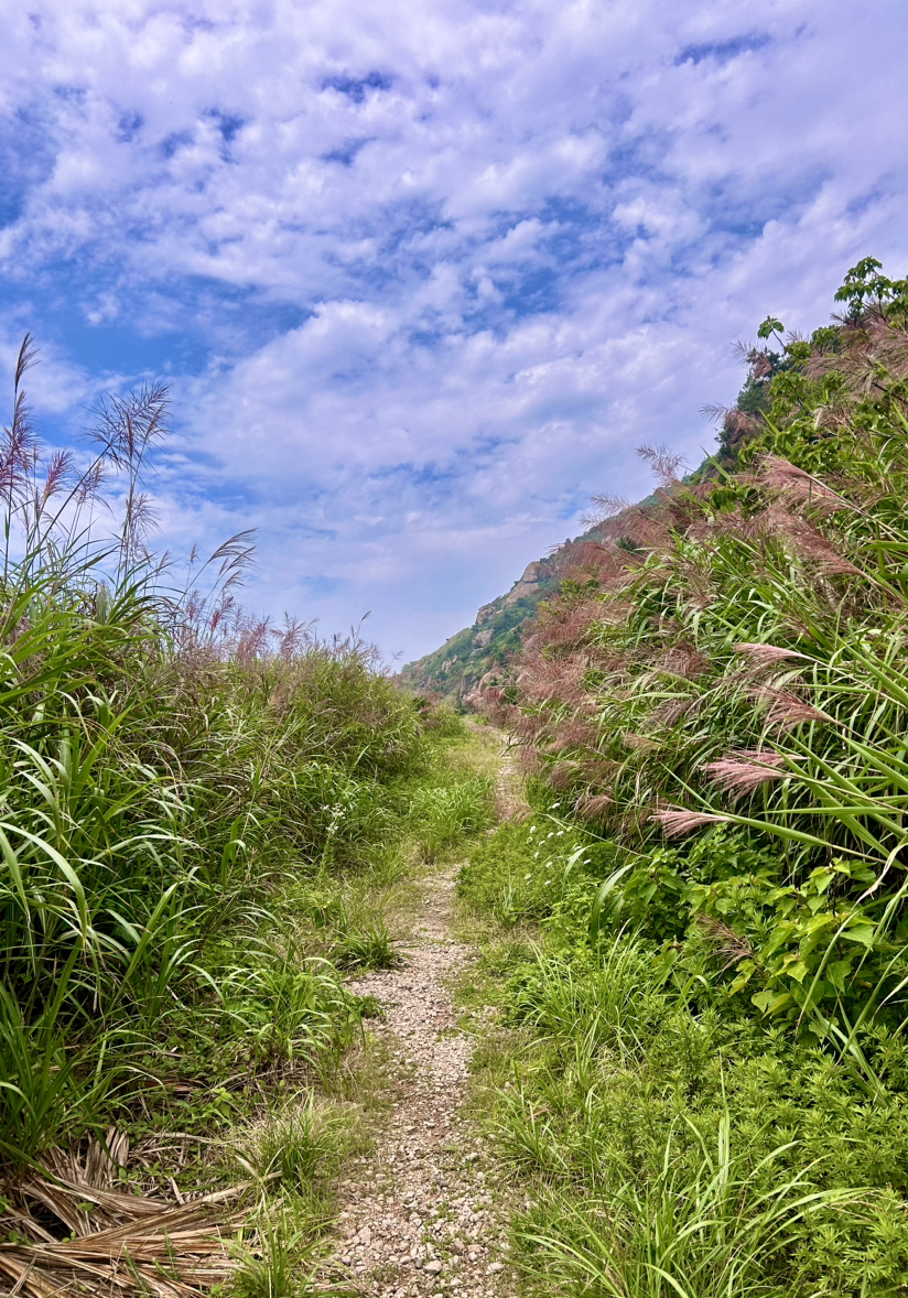 温岭黄金海岸