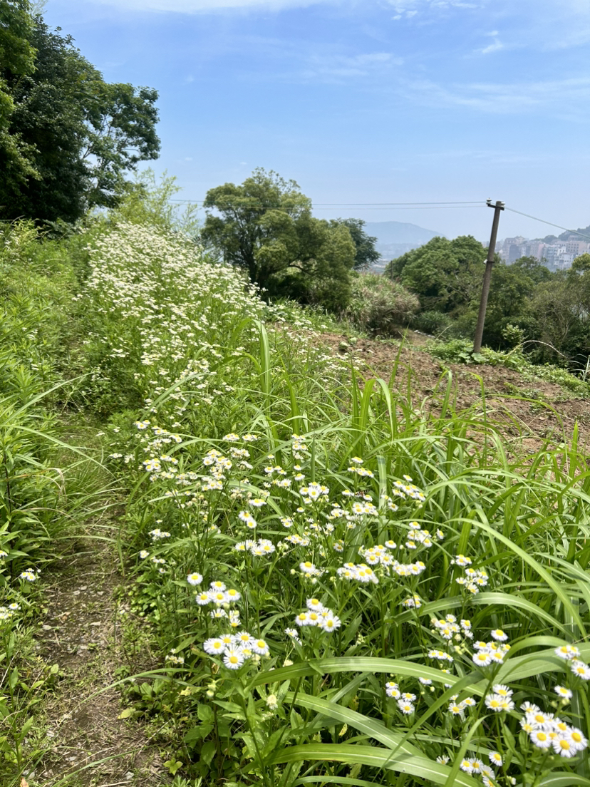 温岭黄金海岸