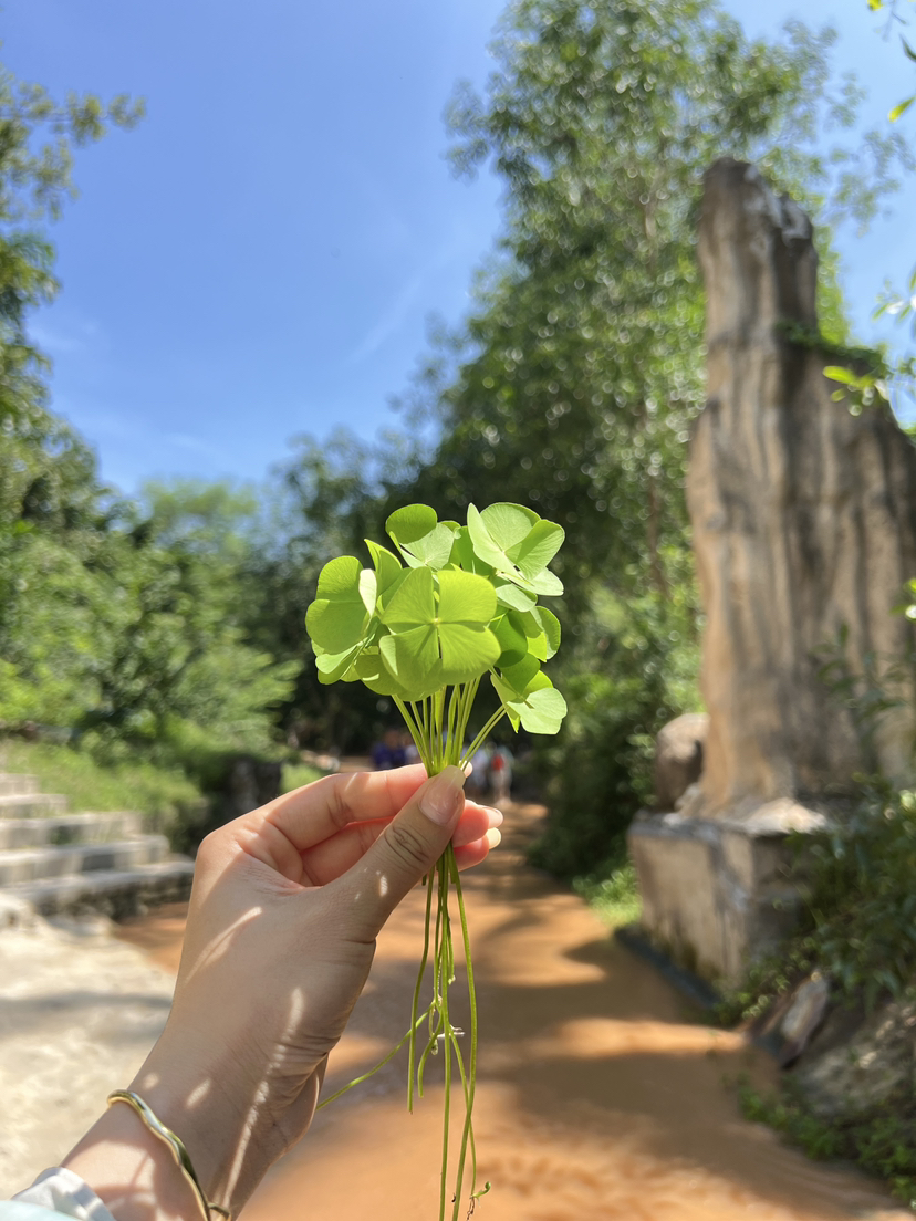 暑假去越南散养娃,度假吧
