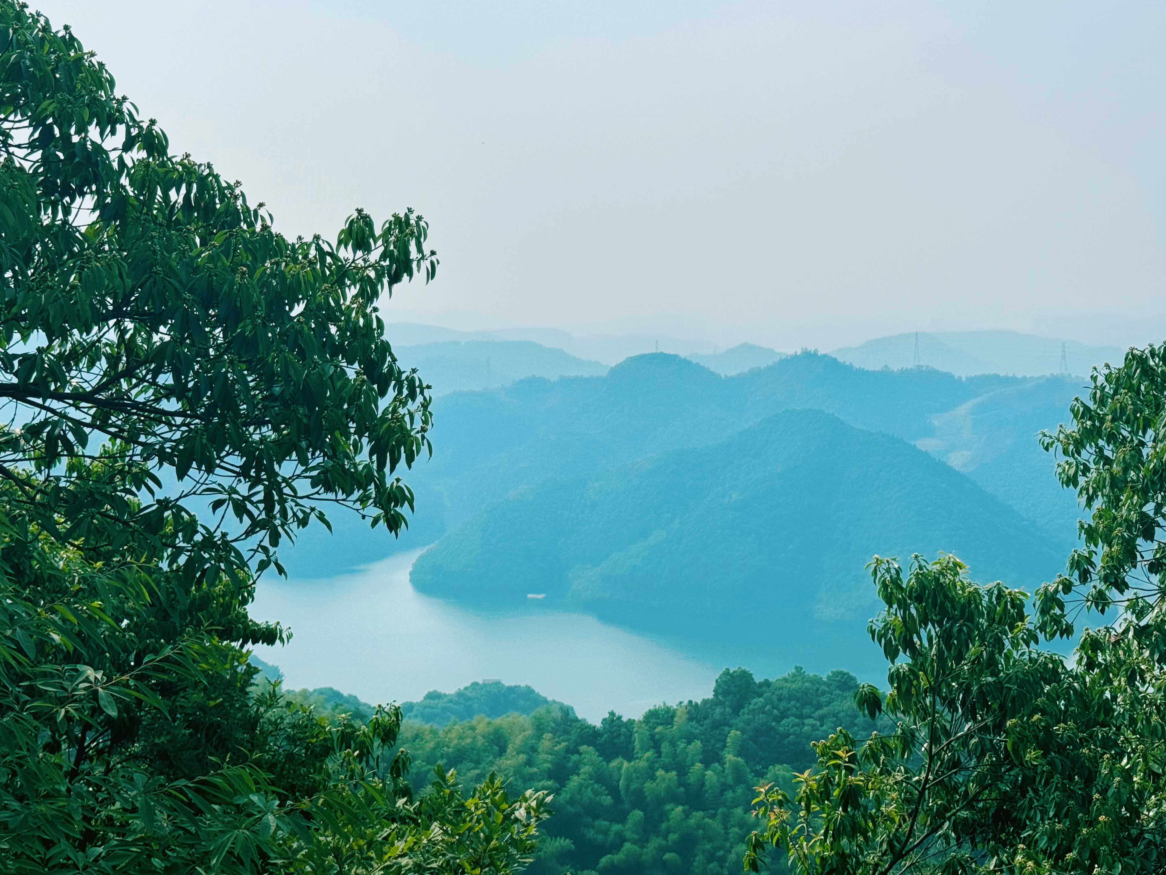 雾中的山