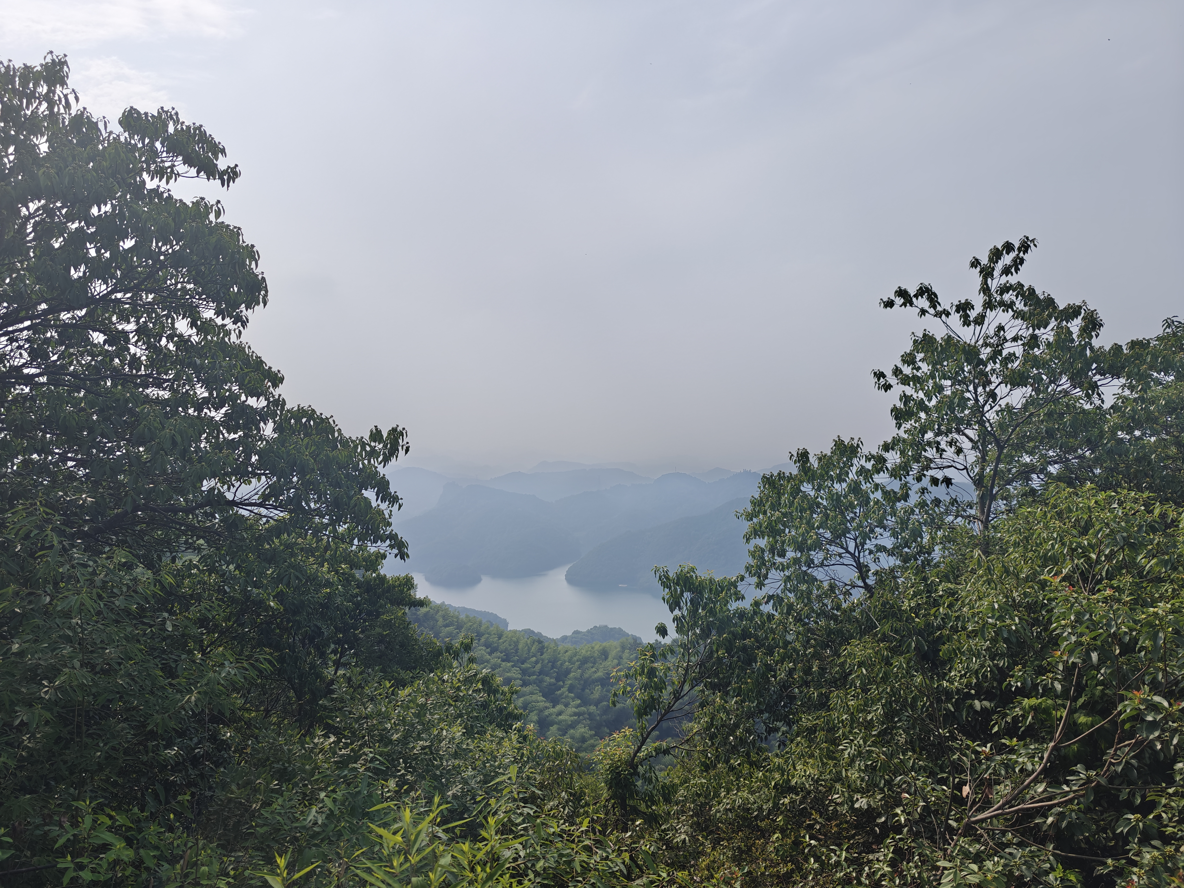 雾中的山