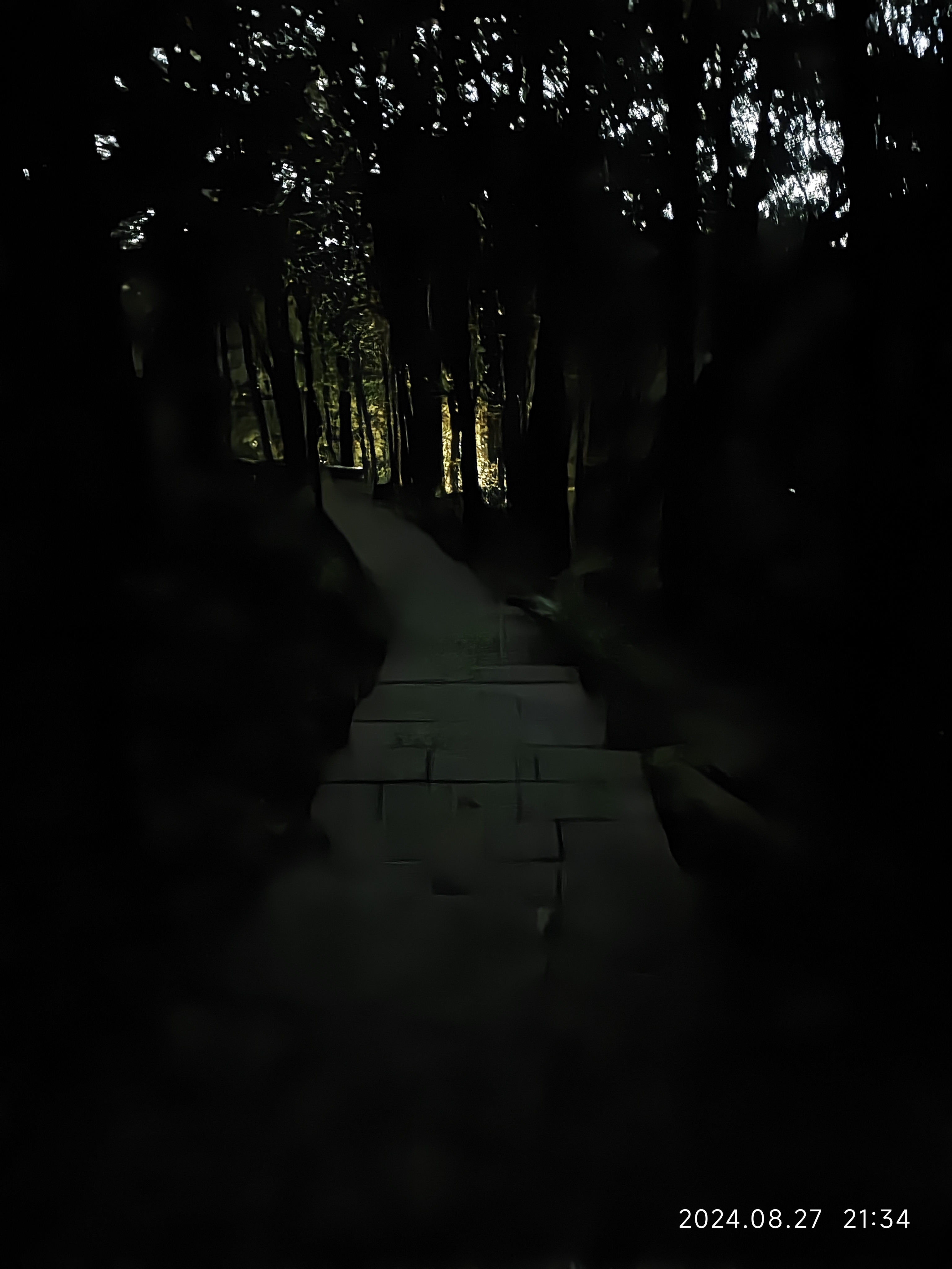 白云山夜爬