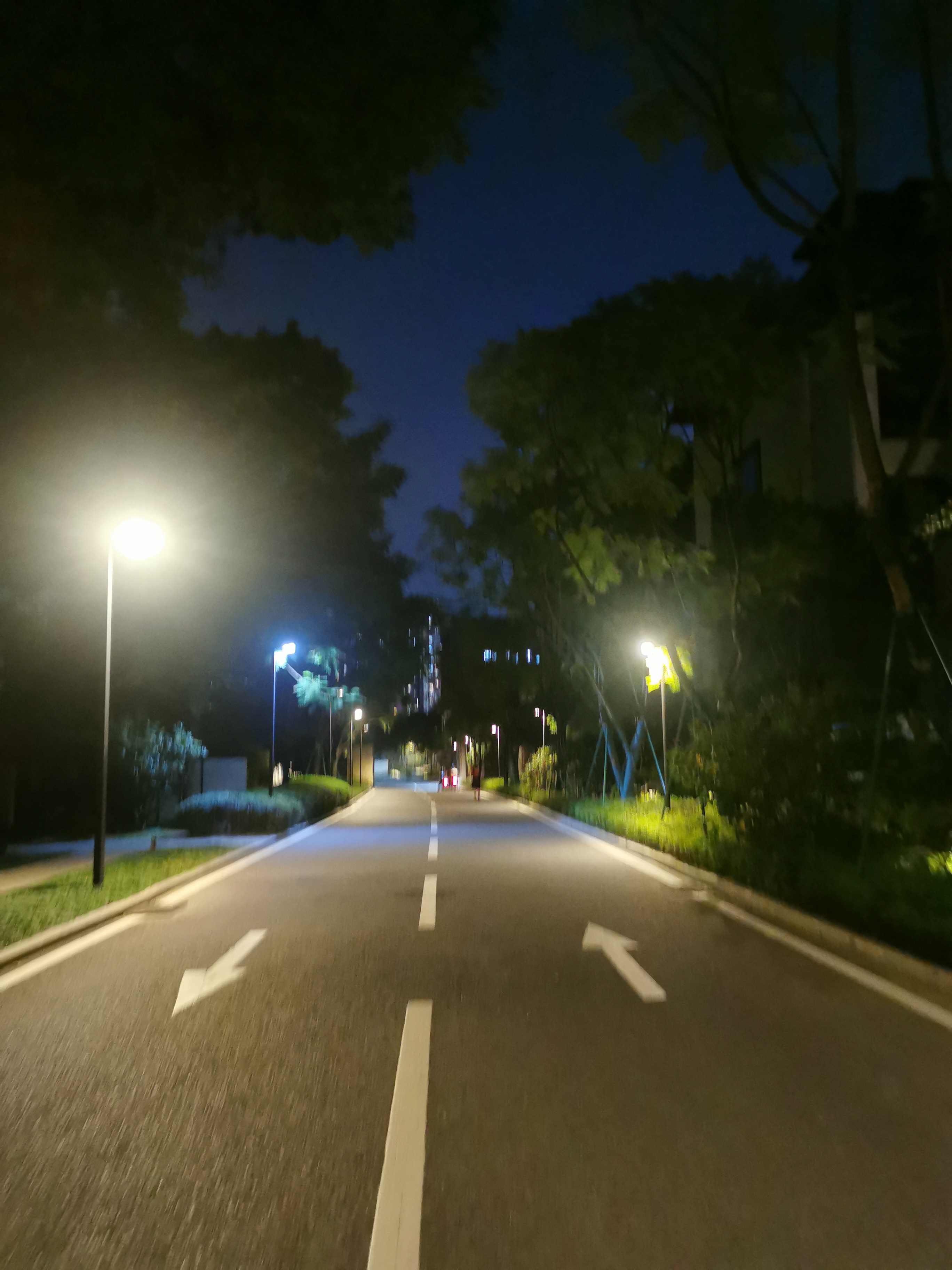 白云山夜爬
