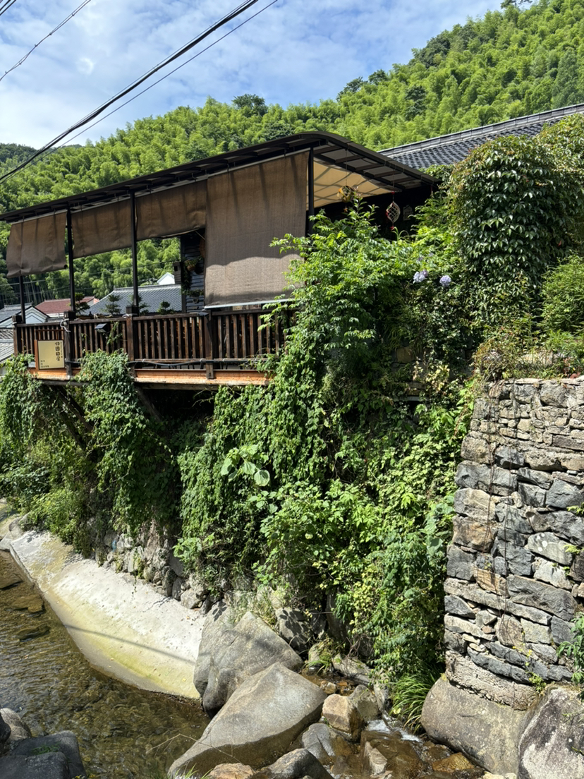 尽情游玩