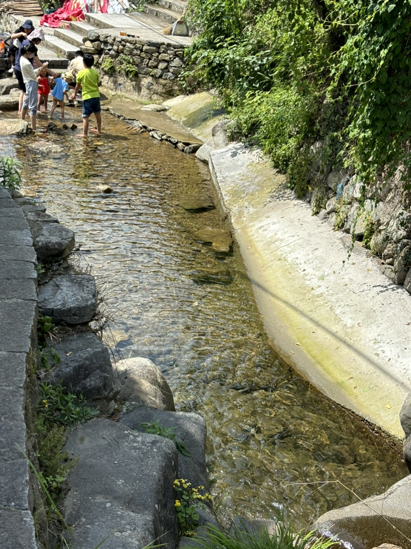 尽情游玩