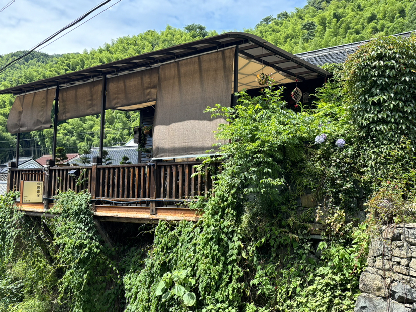 尽情游玩