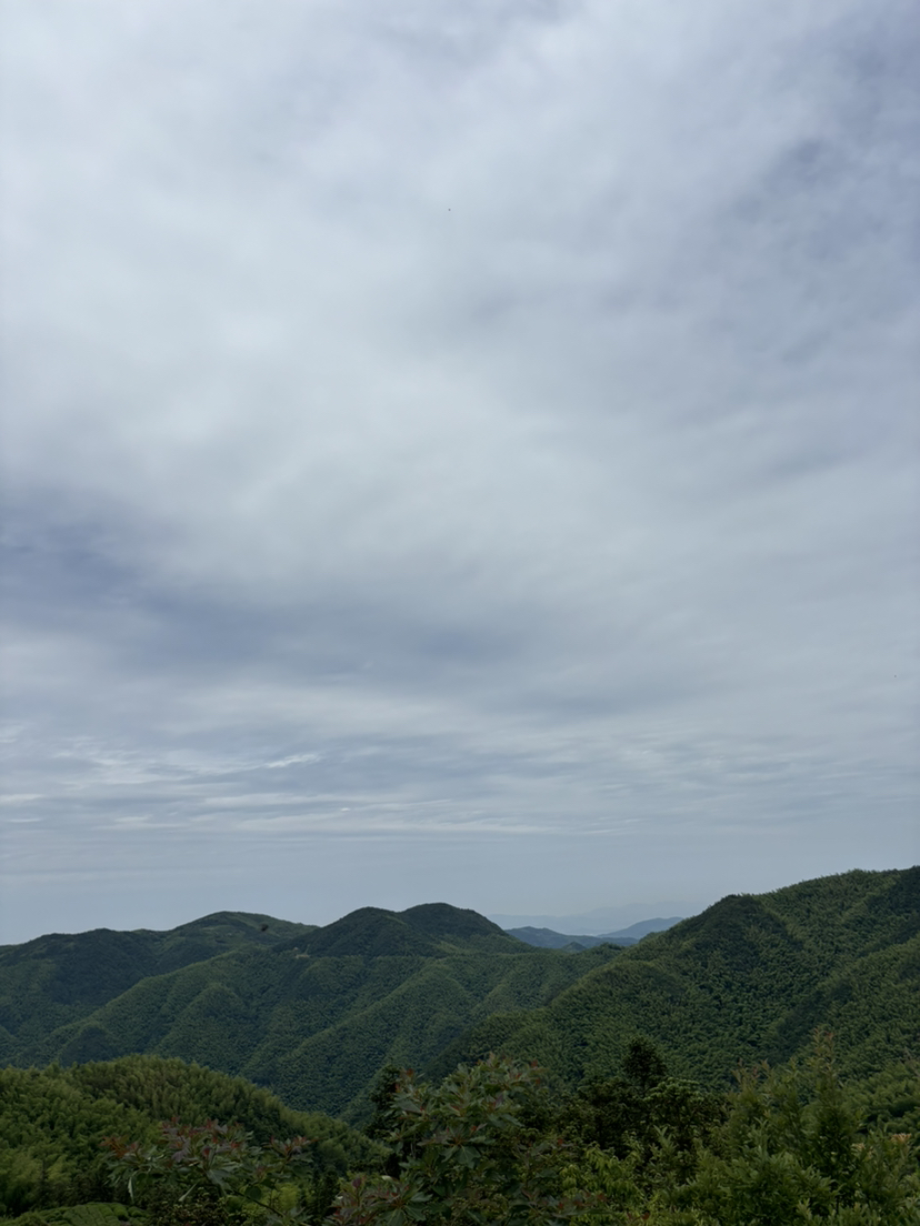 尽情游玩