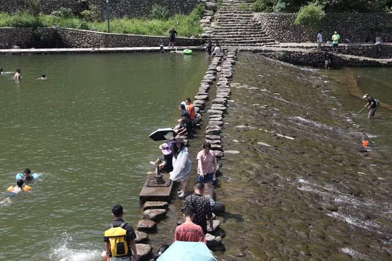 夏日尾巴