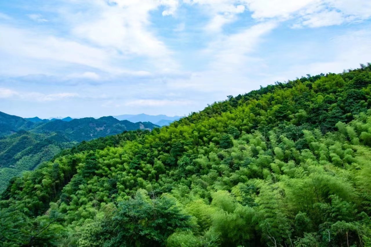 香榧古道旅游
